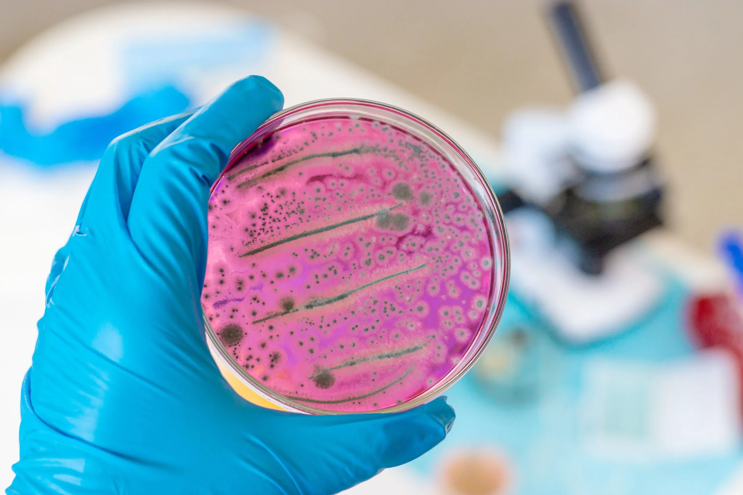 The Antibiotic Resistance Problem Is Coming for Veterinary Medicine — and We Need to Talk About It
