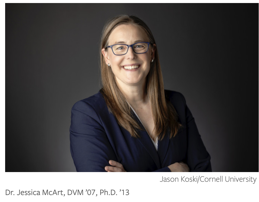 Dr. Jessica McArt Is the New Dean of Cornell's College of Veterinary Medicine  and Her Path Here Is a Blueprint