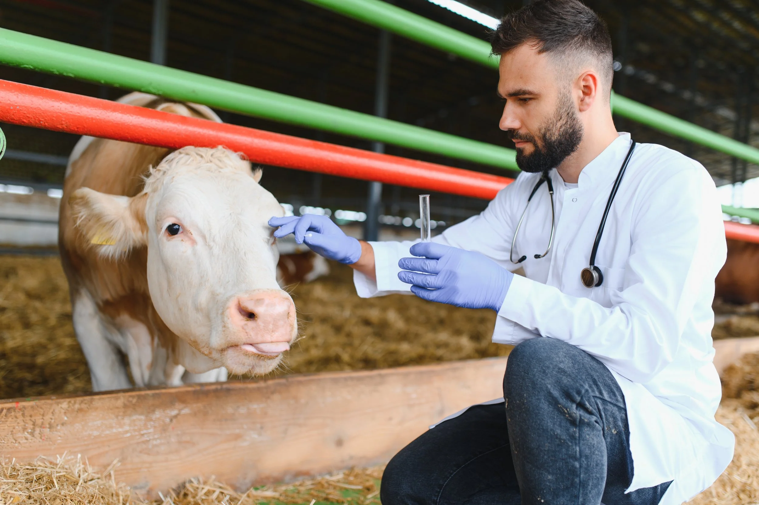 Nebraska Is Offering Veterinarians $150,000 to Move There. So Why Aren't They Applying?