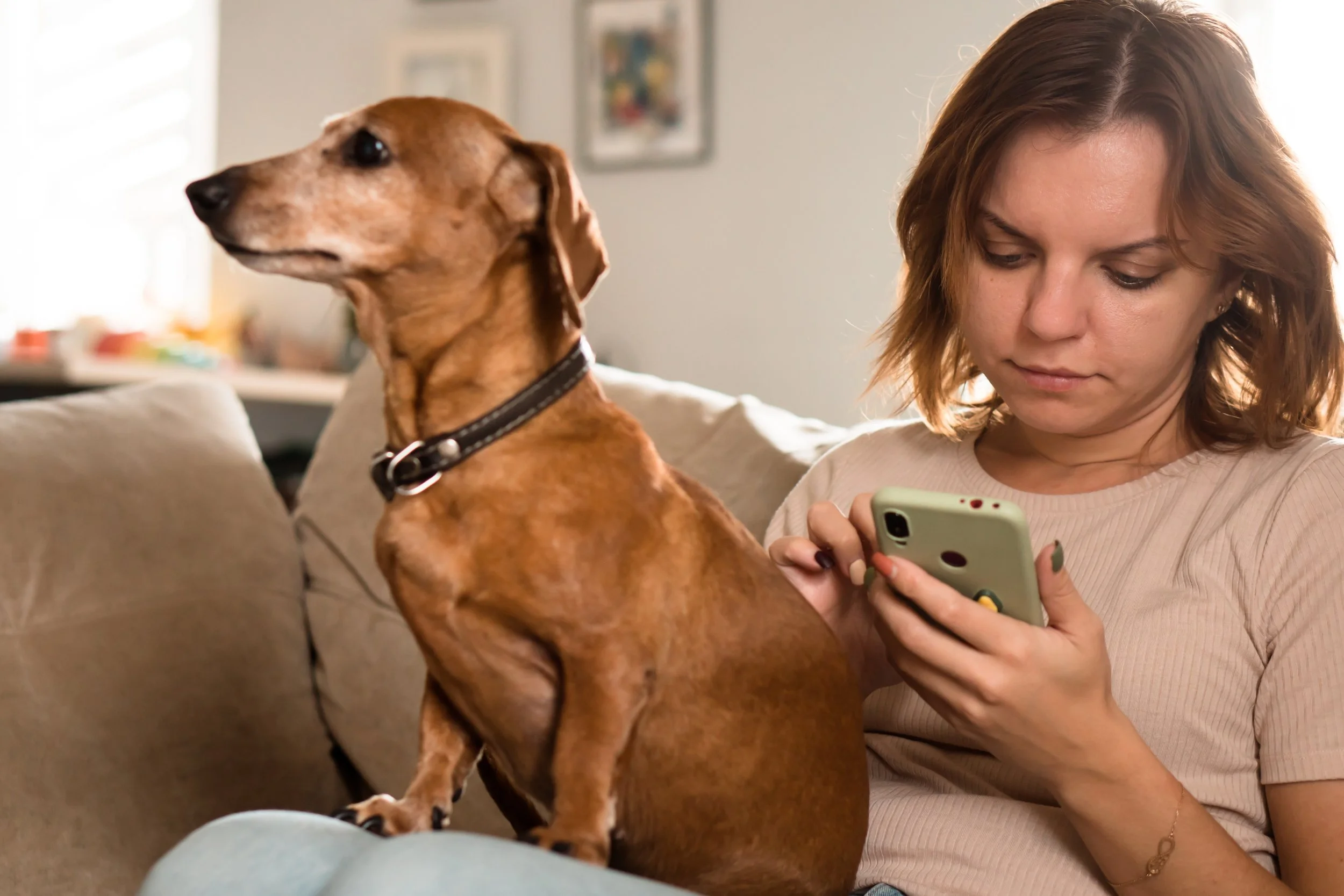 ChatGPT Keeps Recommending the Same Veterinary Chains. Independent Vets Are Barely Showing Up