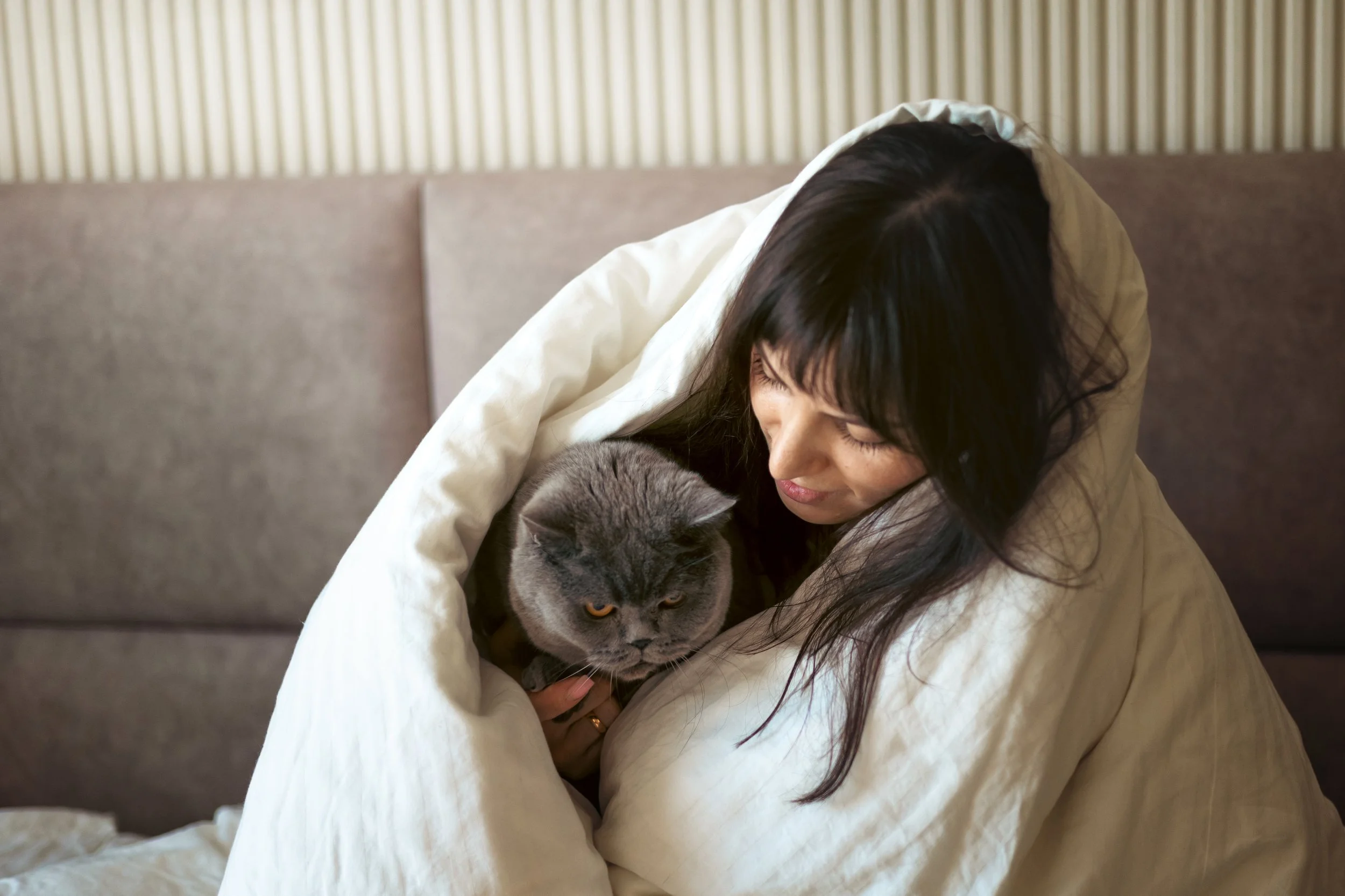 Your Cat Clients Are Burning Out.  New Research Explains Why You Need to Start Asking