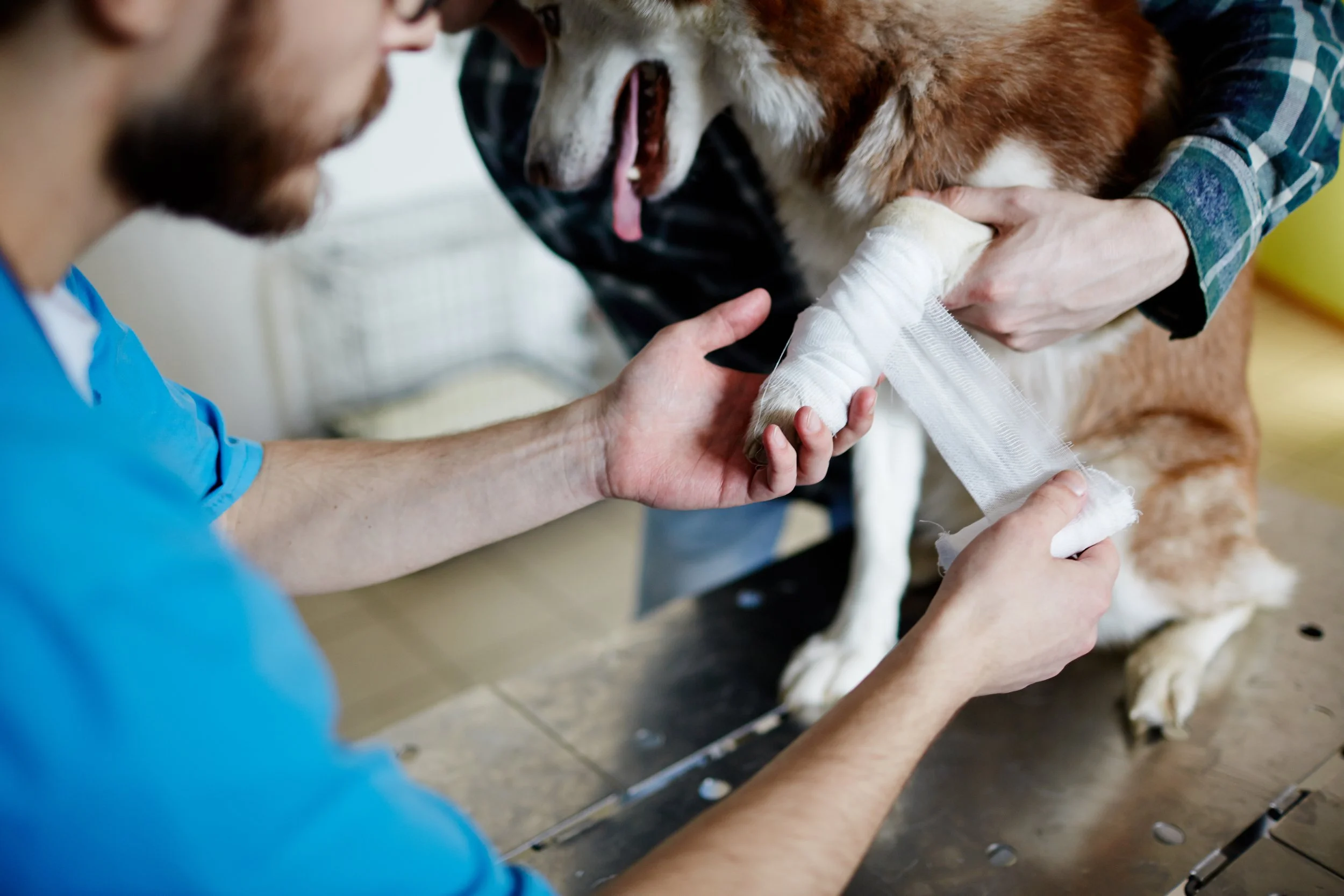 The Body Already Makes This Gas — Texas A&amp;M Researchers Are Now Using It to Heal Wounds