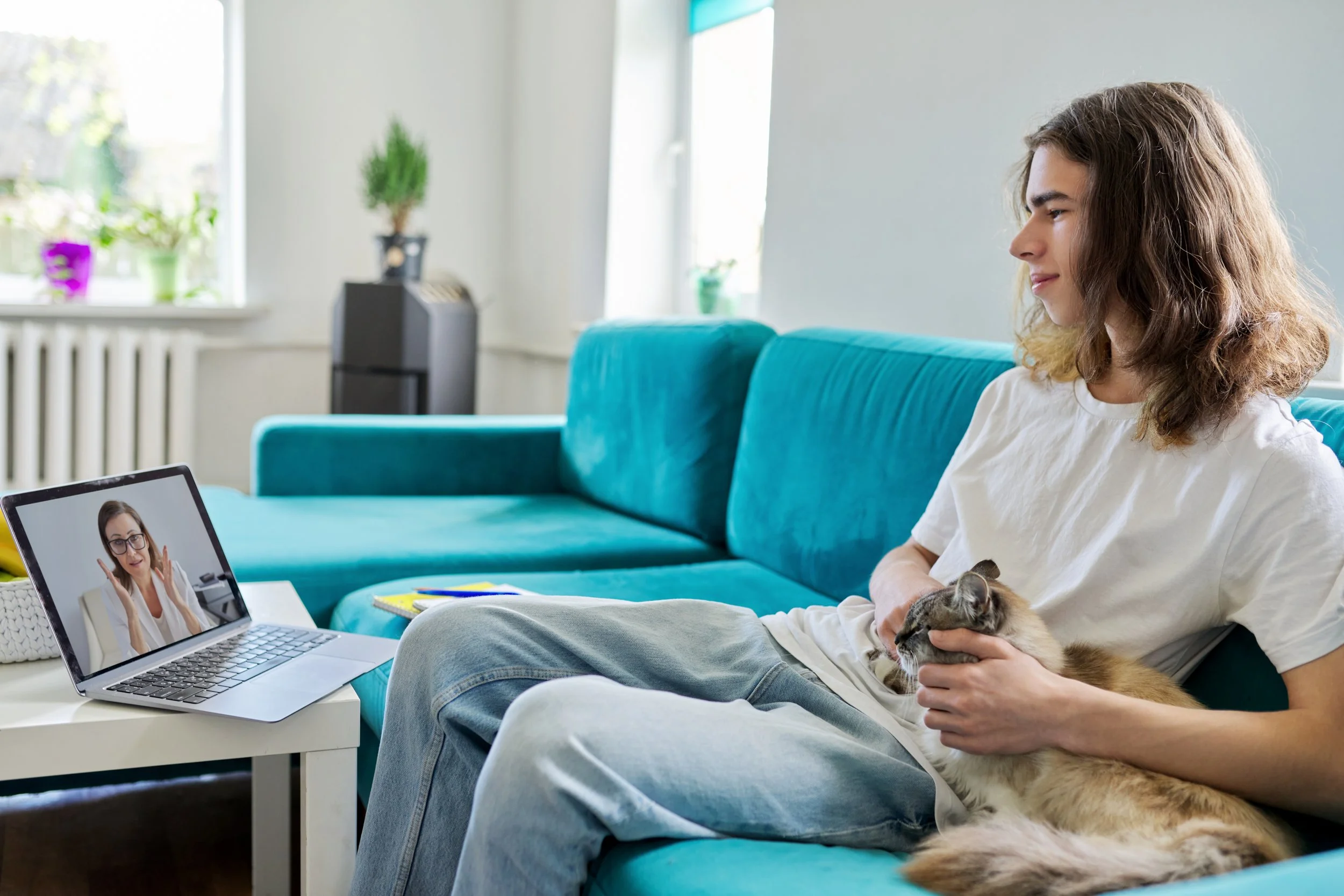 Rhode Island Just Legalized Veterinary Telemedicine. Here's Exactly What the Law Says