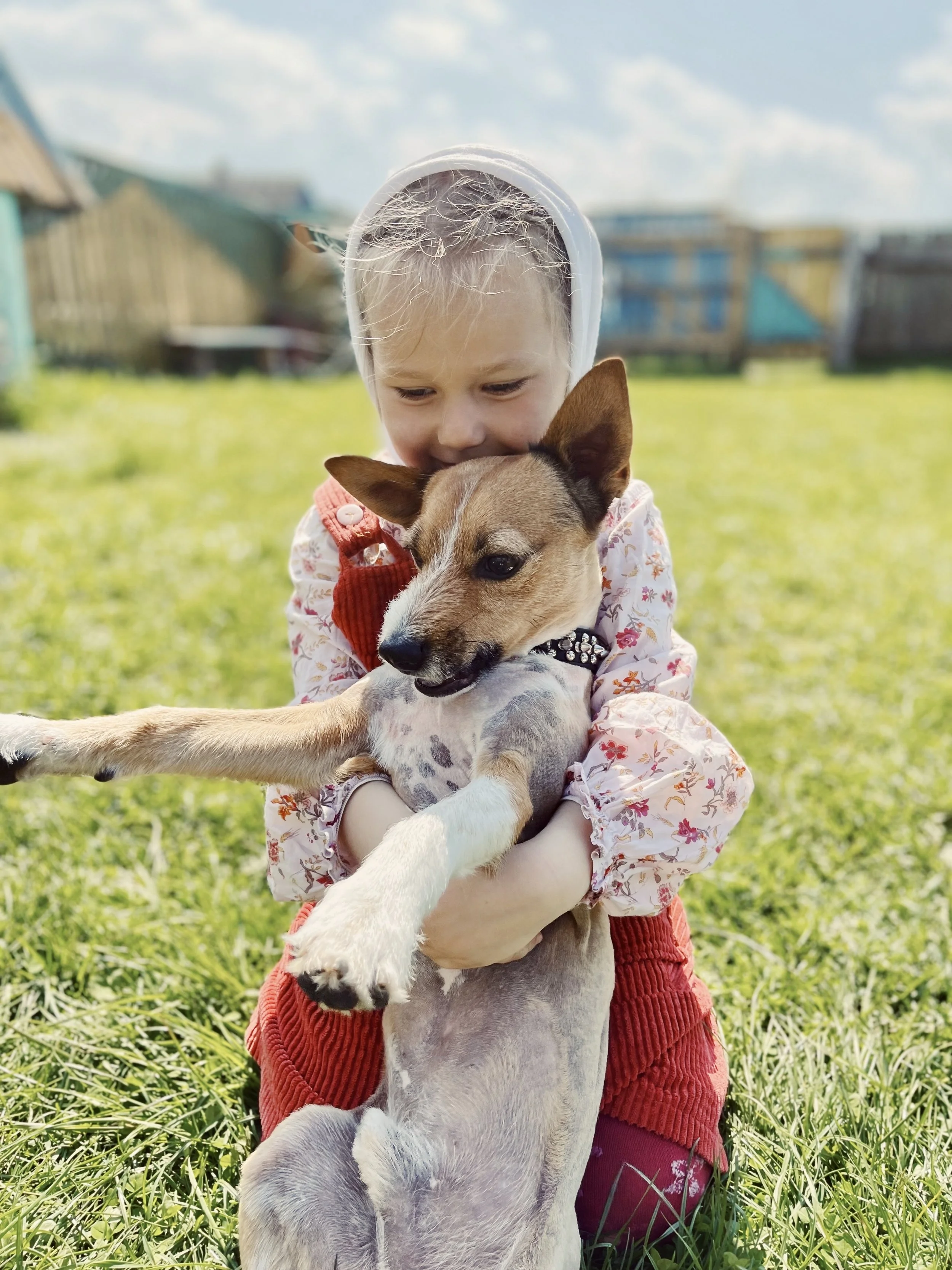 A review argues the family dog may become science’s unlikely ally against autism