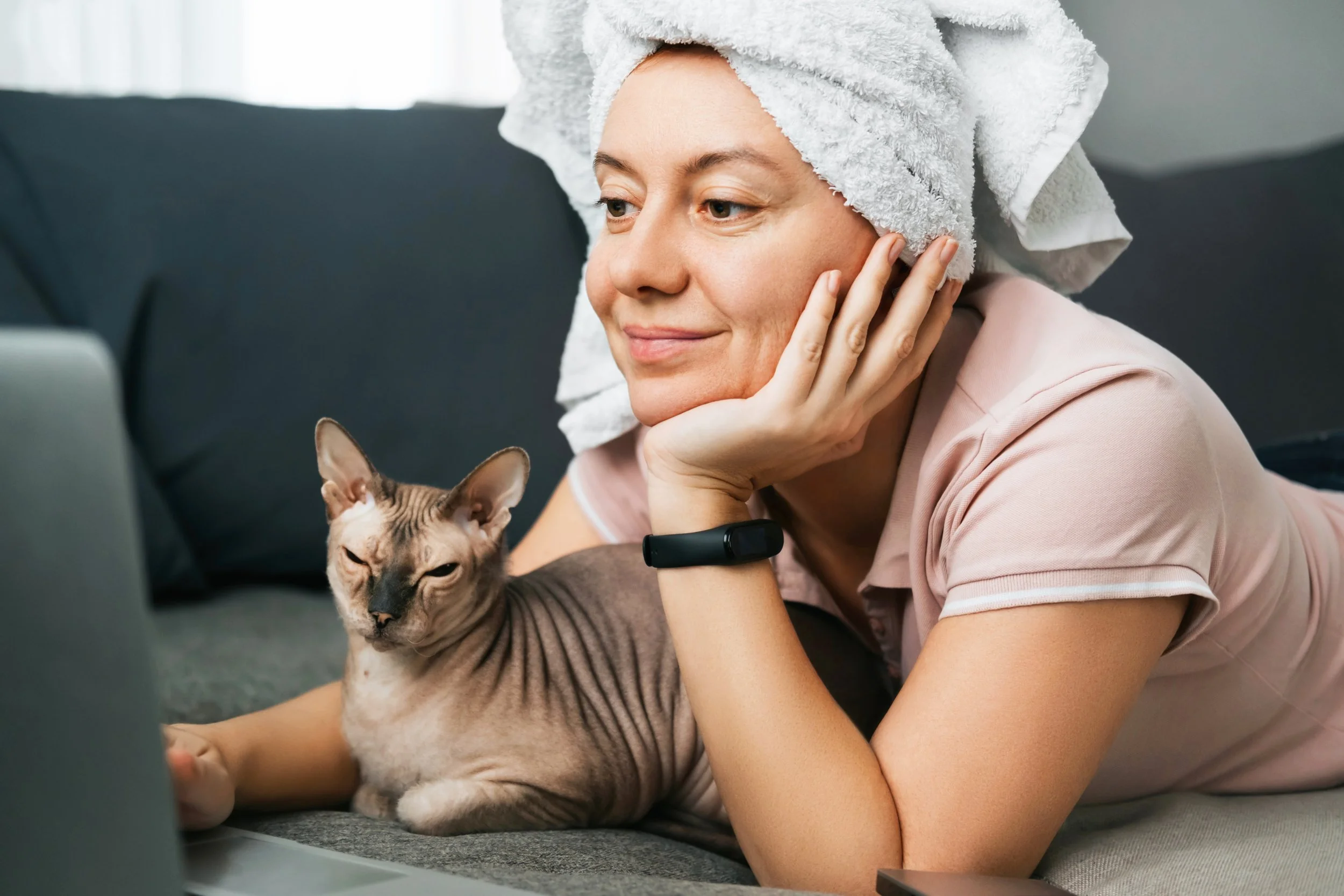 Cats age like humans – could studying their brains reveal healthy ageing secrets?