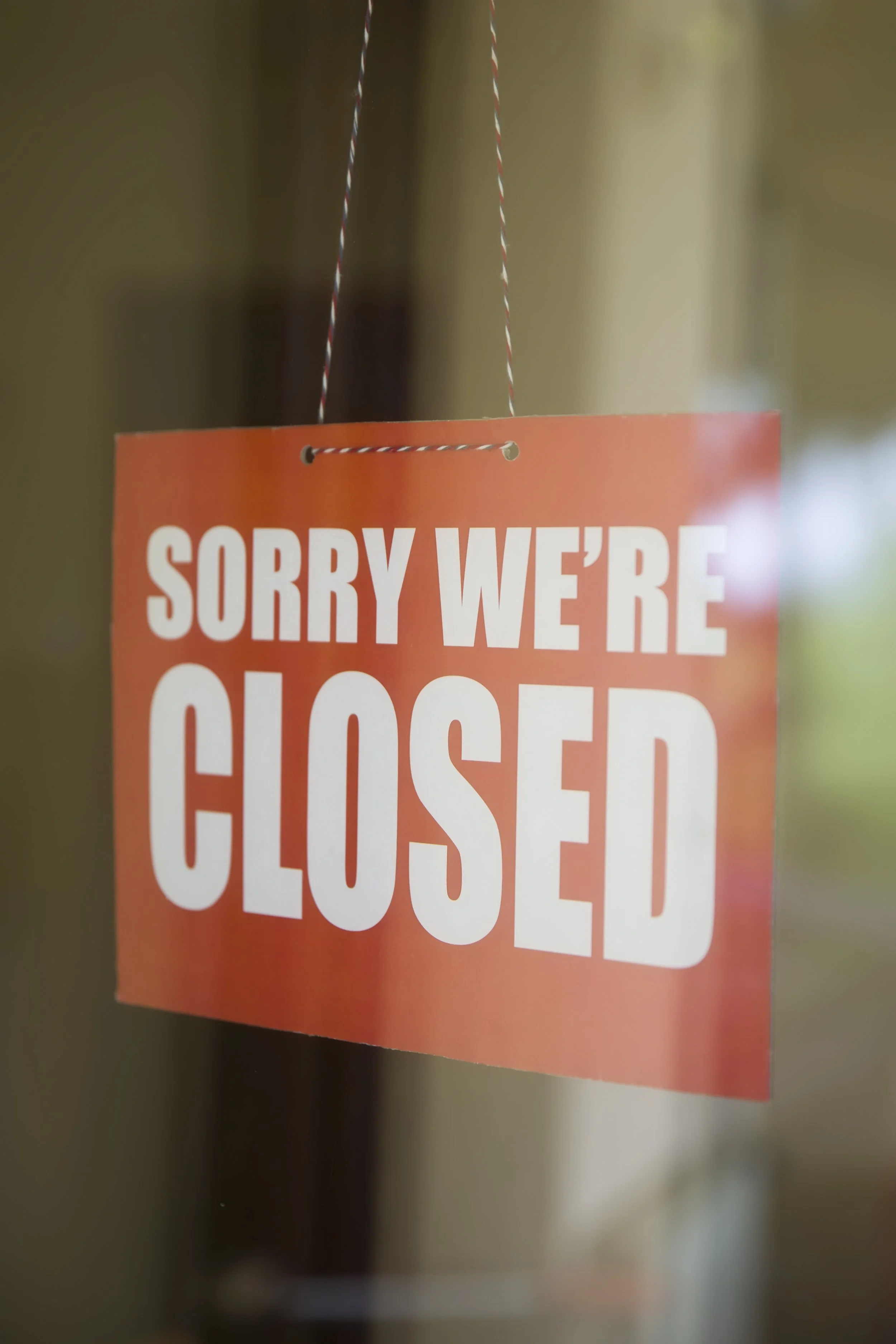 When Shelter Outbreaks Force Closures: What Vets Need to Know About Parvovirus and Feline Distemper