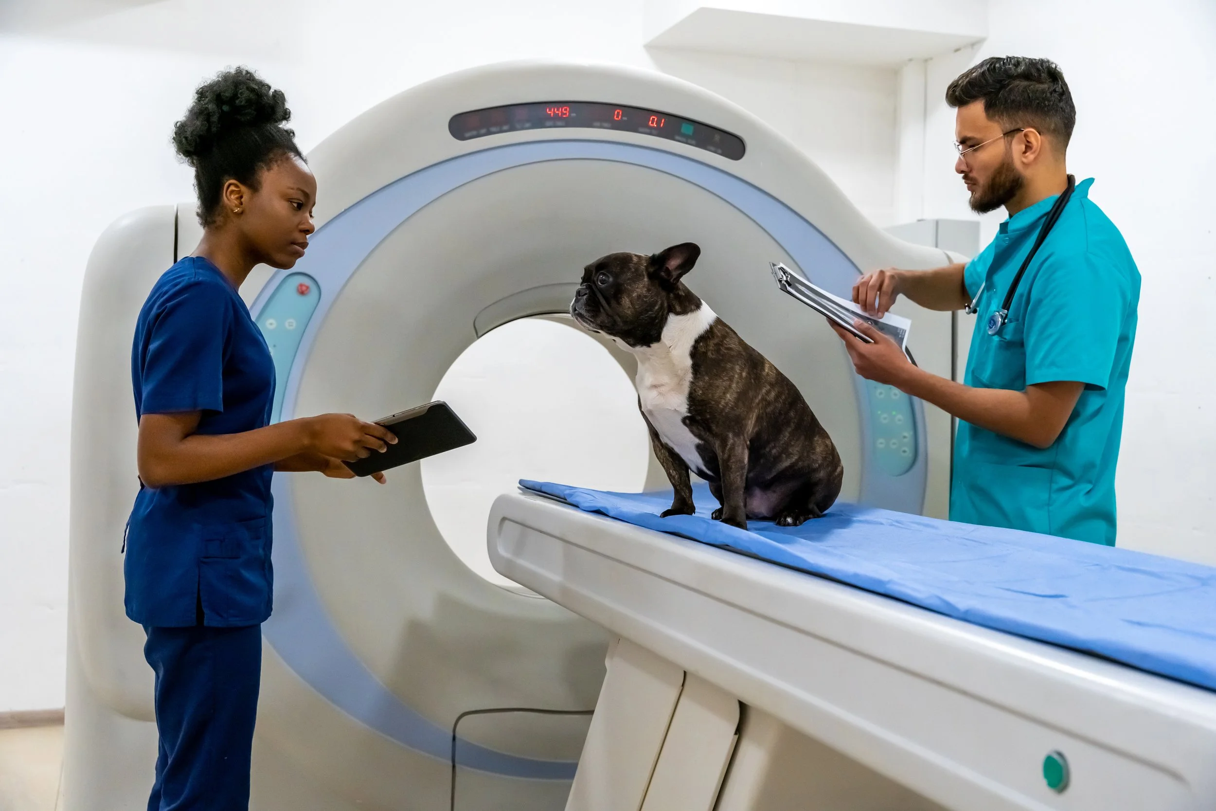 When New Equipment Causes Unexpected Harm: What the MRI Thermal Injury Case Teaches Veterinary Hospitals