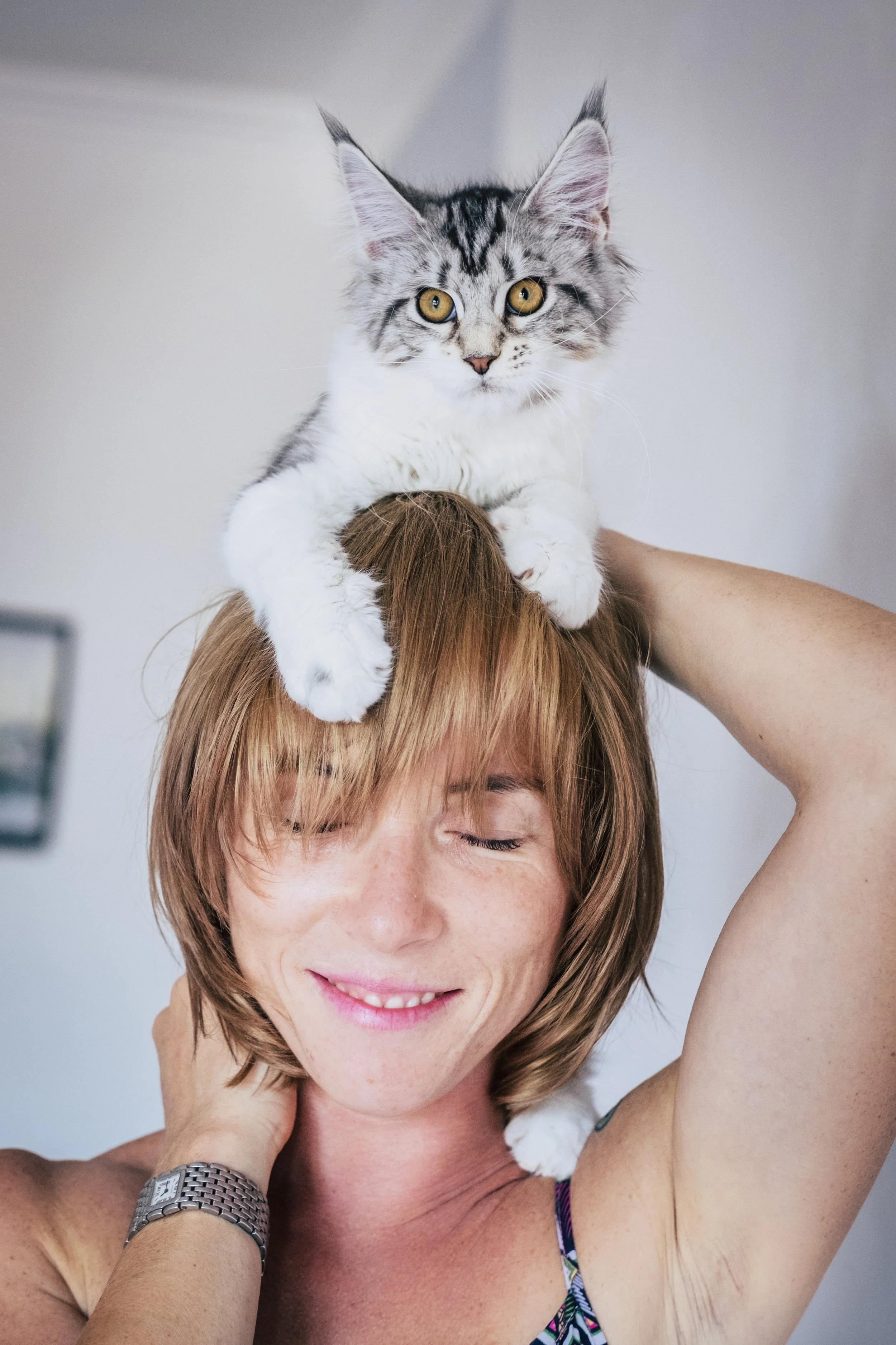 Your Cat's Brain Ages Like Yours. What That Means for Both of You.