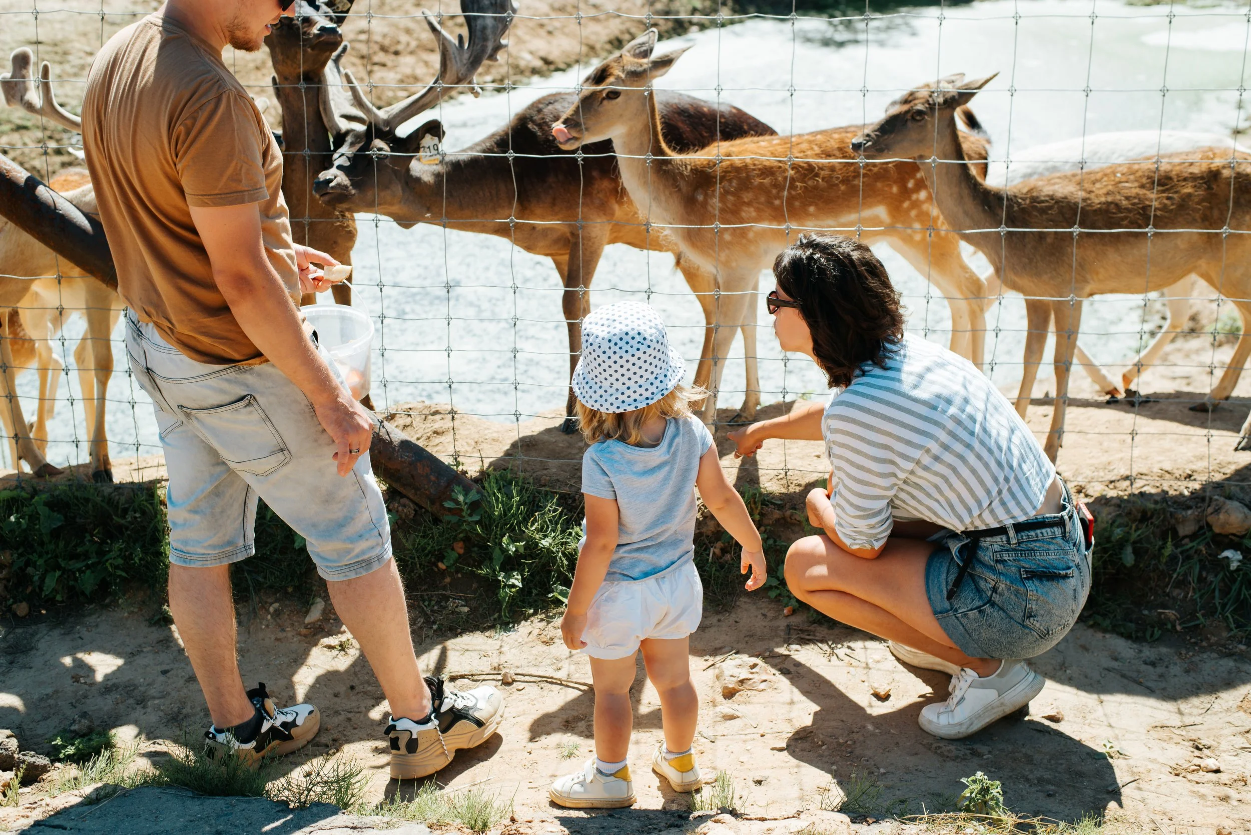 Family Fun in Nashville: 5 Must-Visit Attractions During WVC Nashville