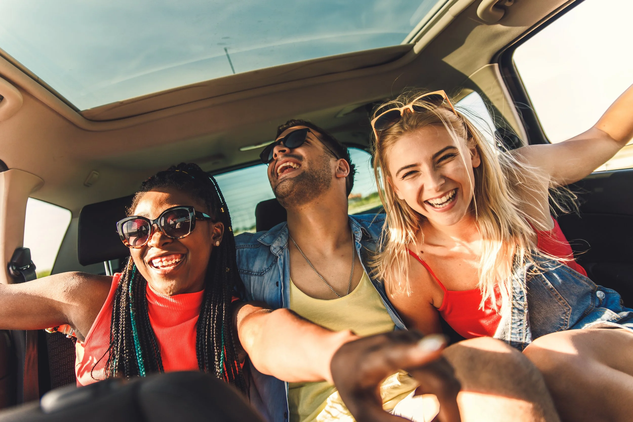 The Great Vet School Road Trip: How to Turn WVC Nashville Into Memories That Last a Lifetime