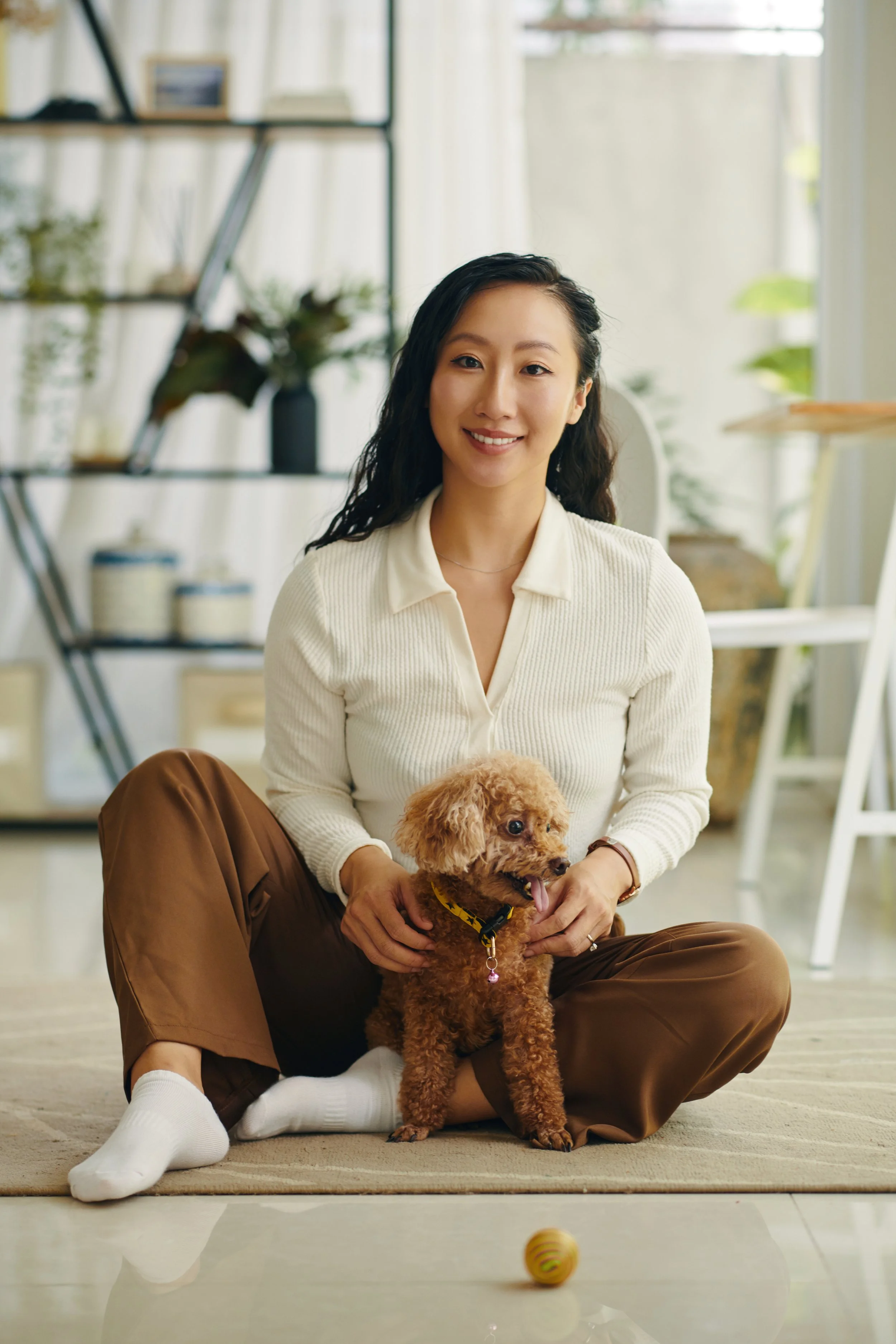 Pet owners would go into debt to save their pets' lives. So why are they delaying care?