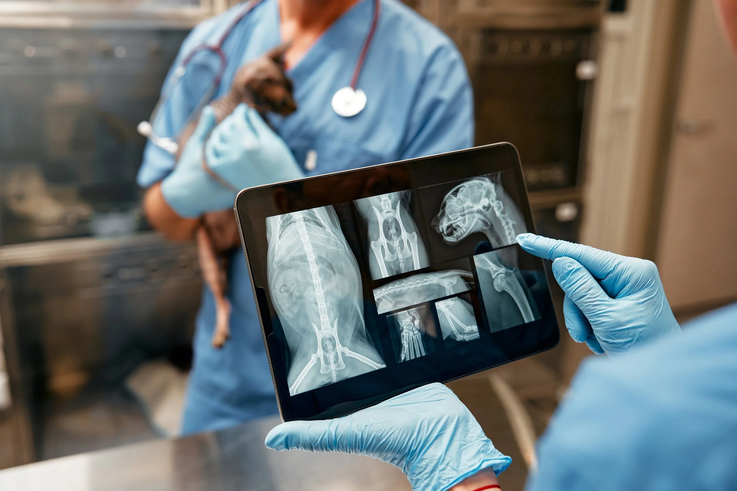 Zoetis Acquired VitalRads.  Here’s What That Means For Your Practice