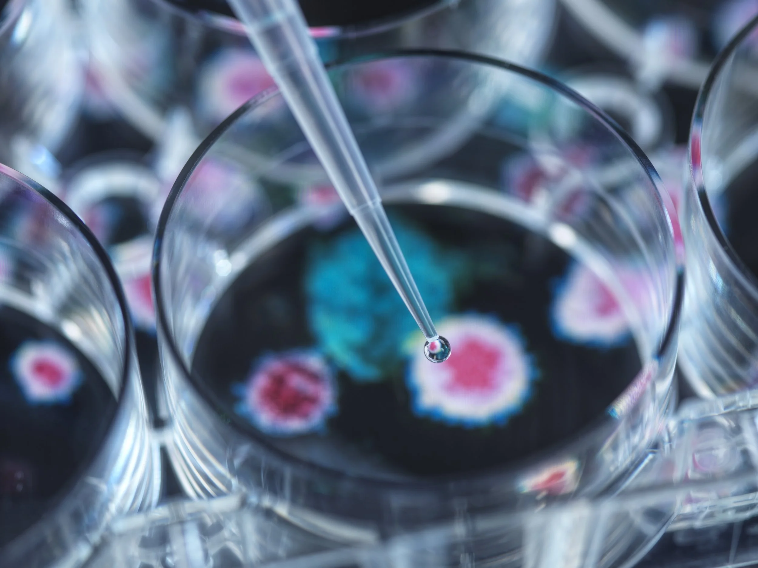 Tiny molecules, big possibilities: Veterinary researchers explore a new way to slow lung cancer