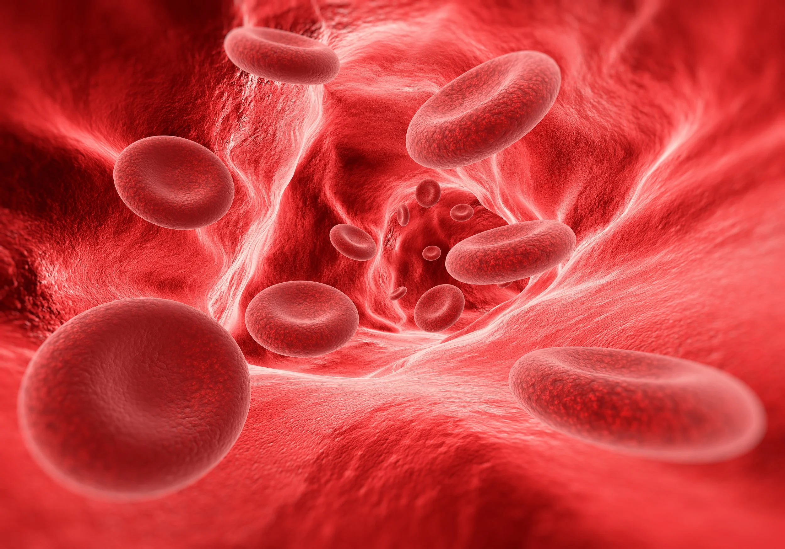 Generating red blood cell-like cells from canine iPSCs