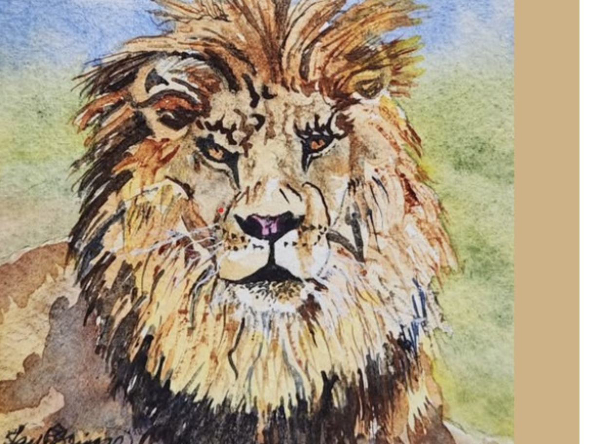 Six rescued lions are getting the portrait treatment, and the story behind it will get you