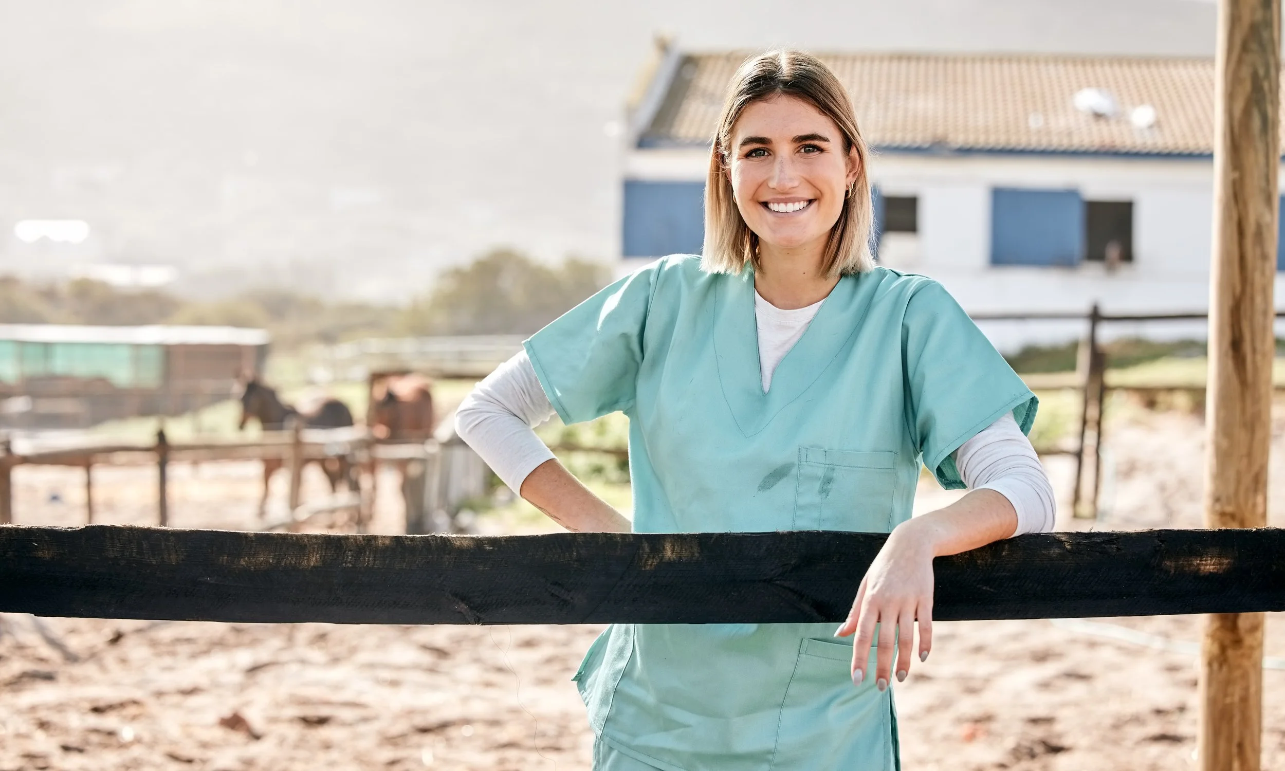 New Mexico’s $80,000 solution to the rural livestock vet shortage