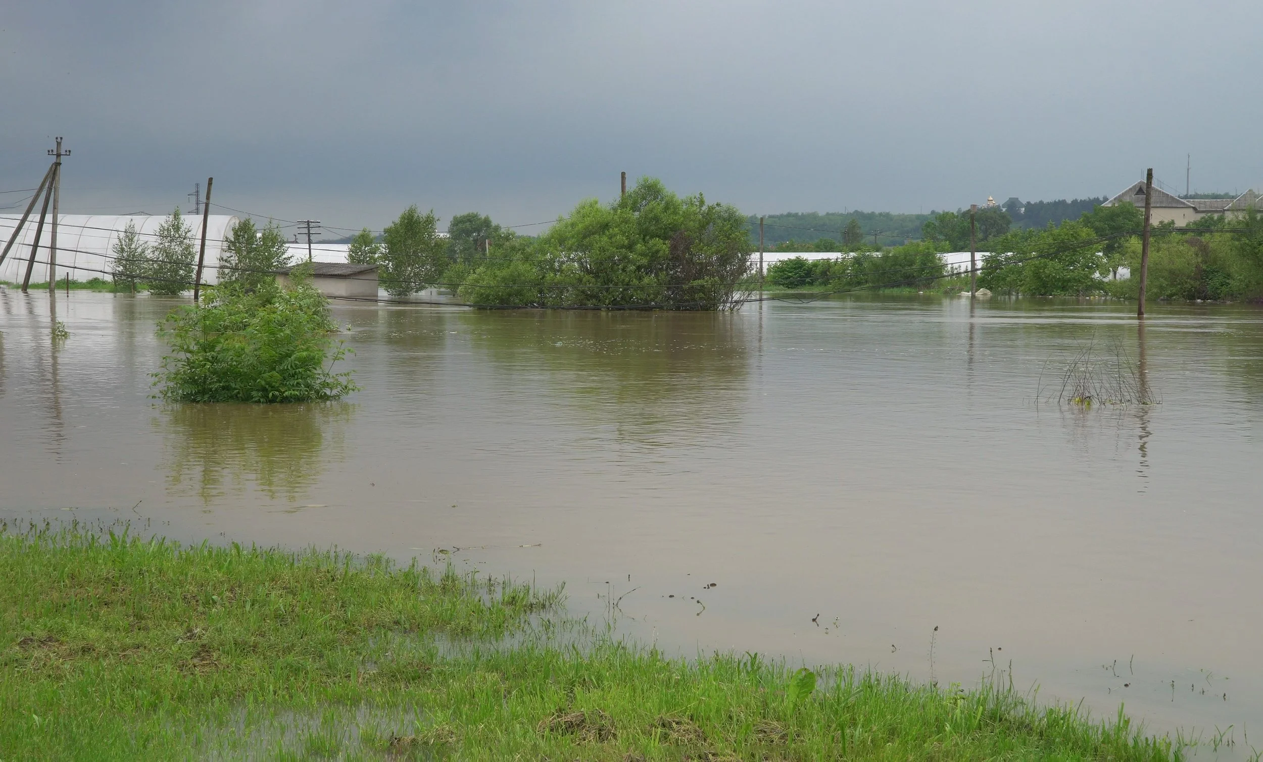 Texas Is Flooding Inside the Screwworm Zone, and a Veterinary Emergency Team Just Deployed Into Both