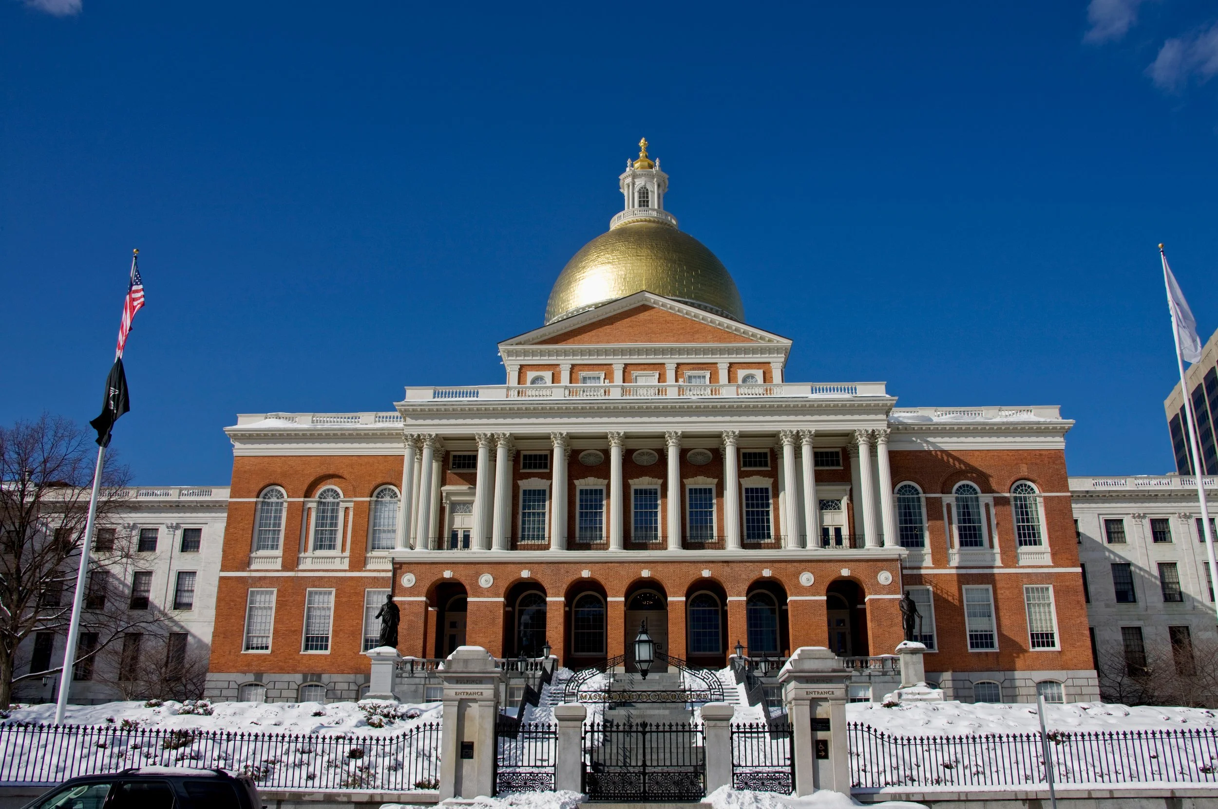 Massachusetts Just Passed One of the Biggest Animal Welfare Bills in Years. Here's What It Means for Veterinary Medicine.