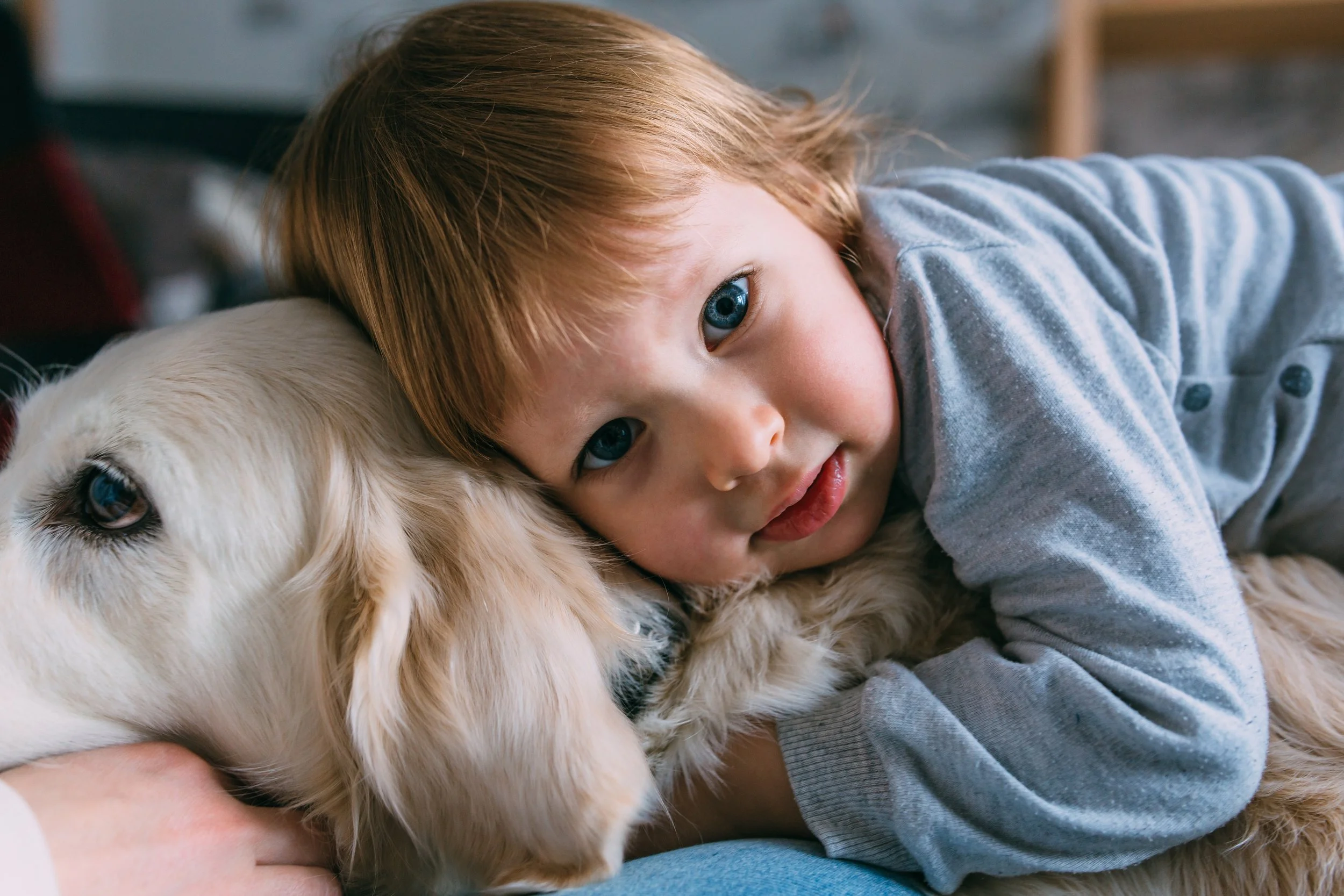 Can Your Dog Help Protect Your Child From Respiratory Infections? New Study Suggests It Might