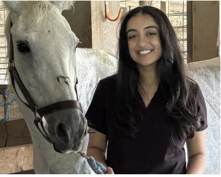 A DVM/PhD Student Just Cracked Part of the Genetic Code Behind Equine Pregnancy Loss