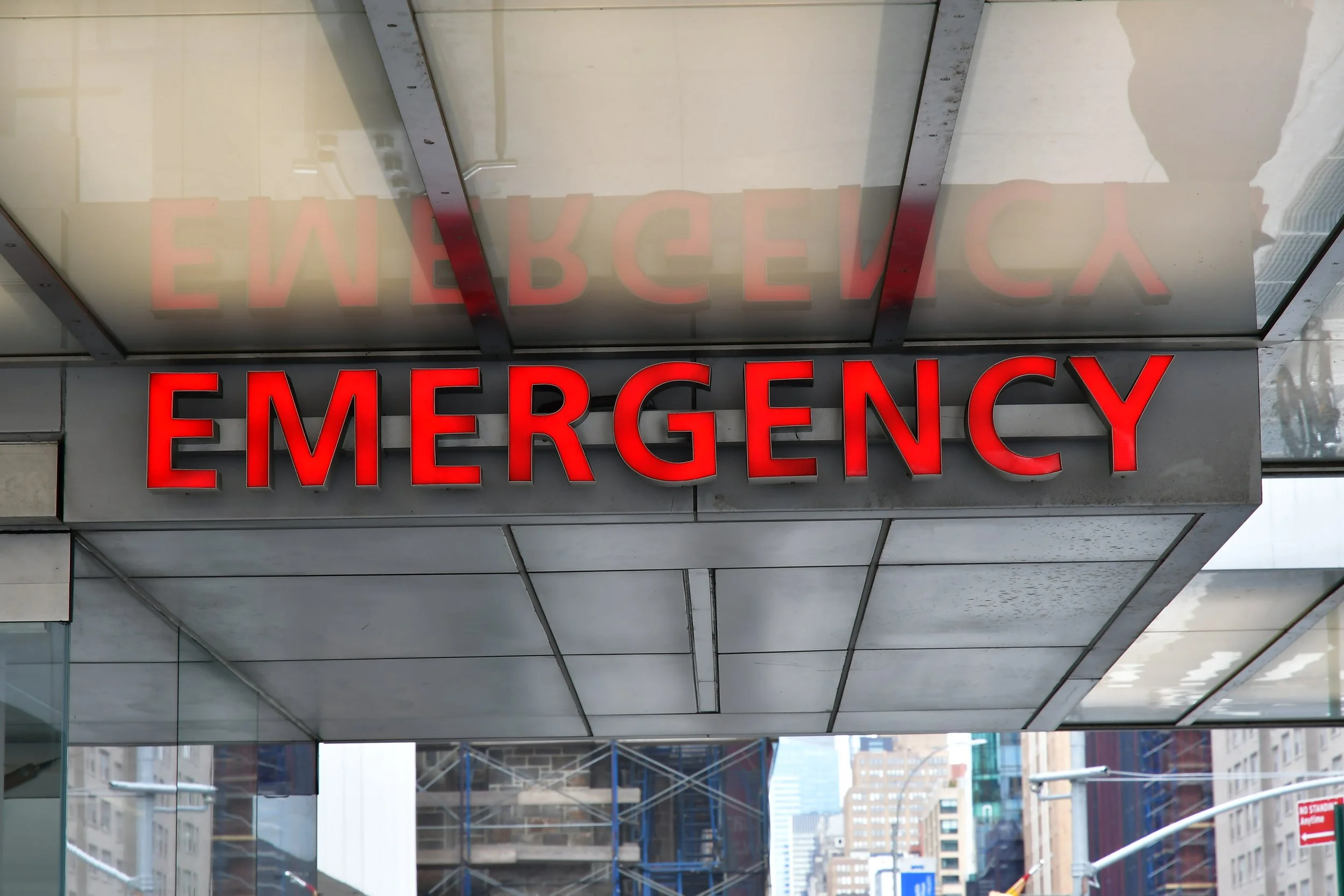 When the Nearest Emergency Vet Is 90 Minutes Away, What Happens to the Pets Who Can’t Wait?