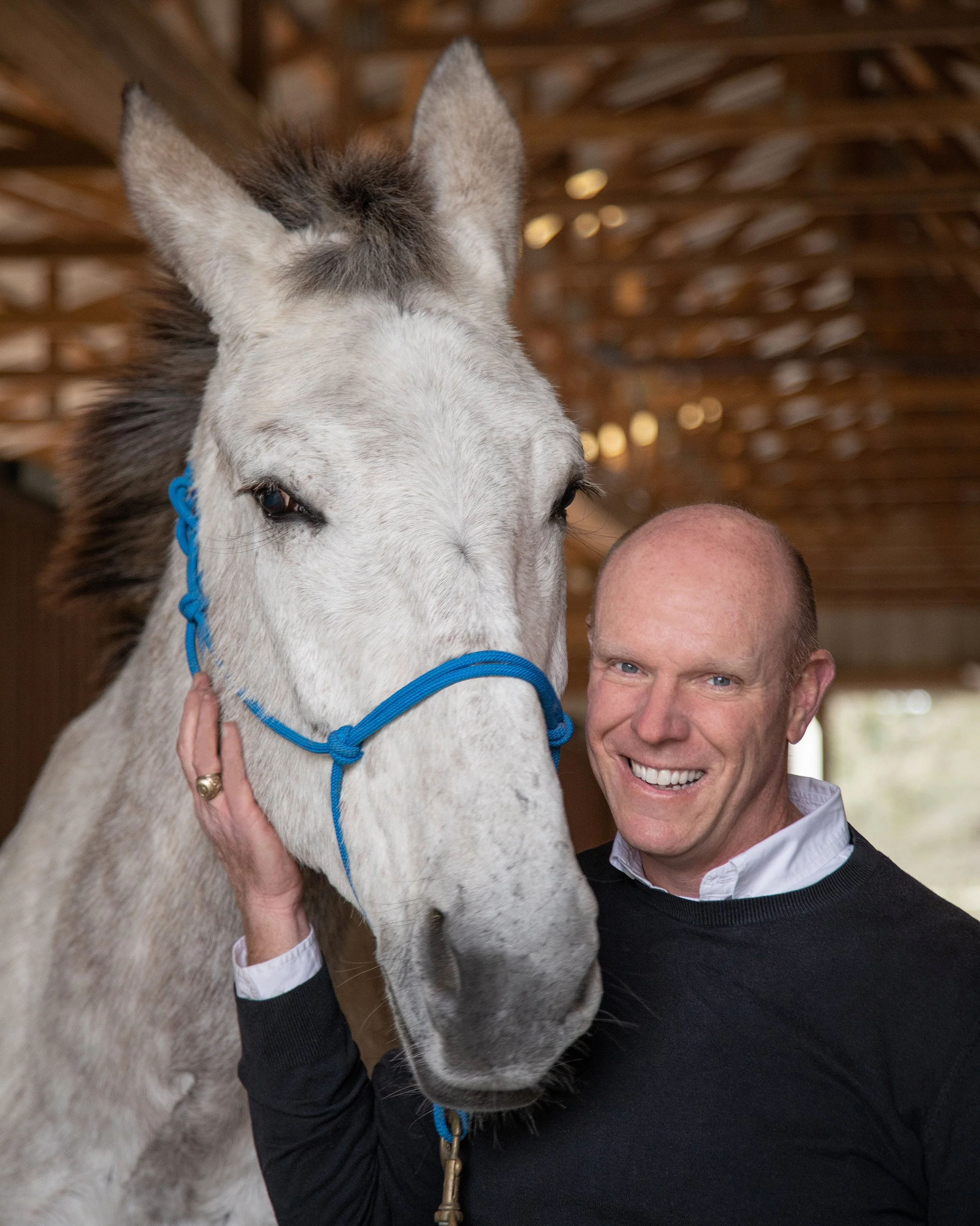 He Didn't Grow Up Around Horses. Now He's Written the Funniest Book About Becoming a Horse Vet You'll Read This Year