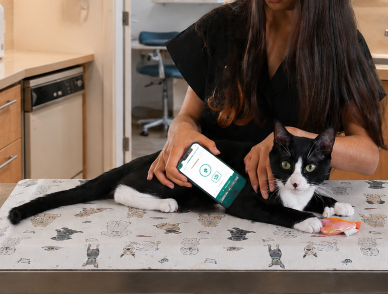 This Technology is Changing How We Screen for Heart Disease
