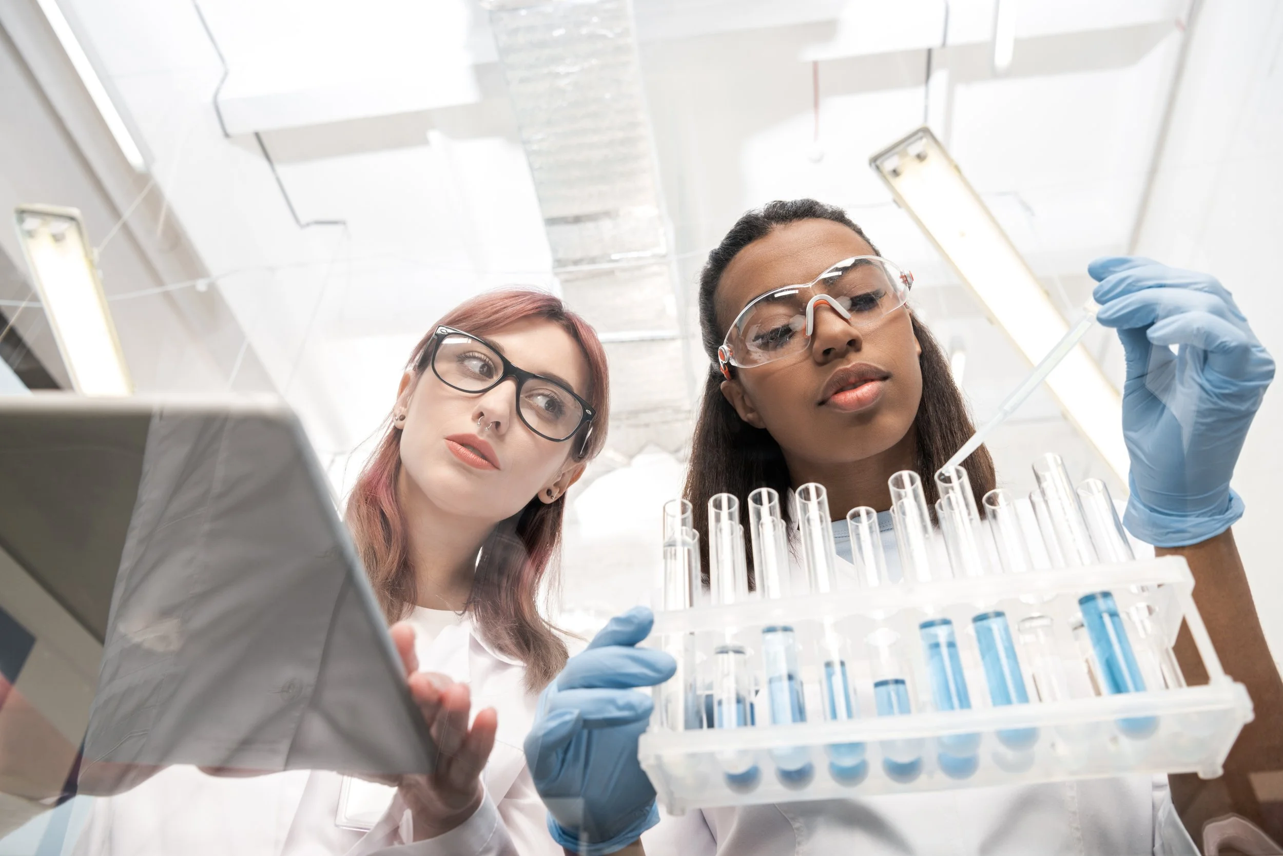 Inside the Purdue Lab Where Dog Cancer Research Is Rewriting Human Oncology Too