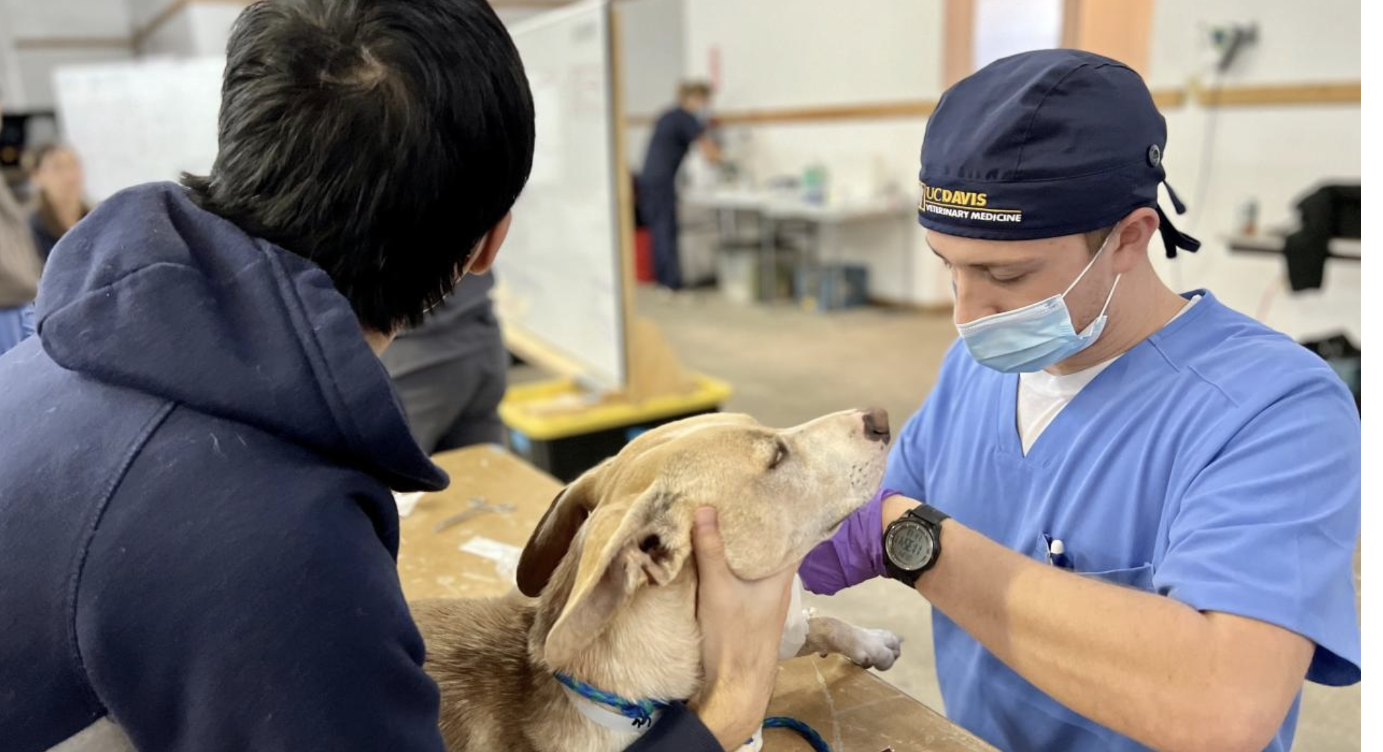 UC Davis Partners with PetSmart Charities to Prepare Future Veterinarians for Community Care