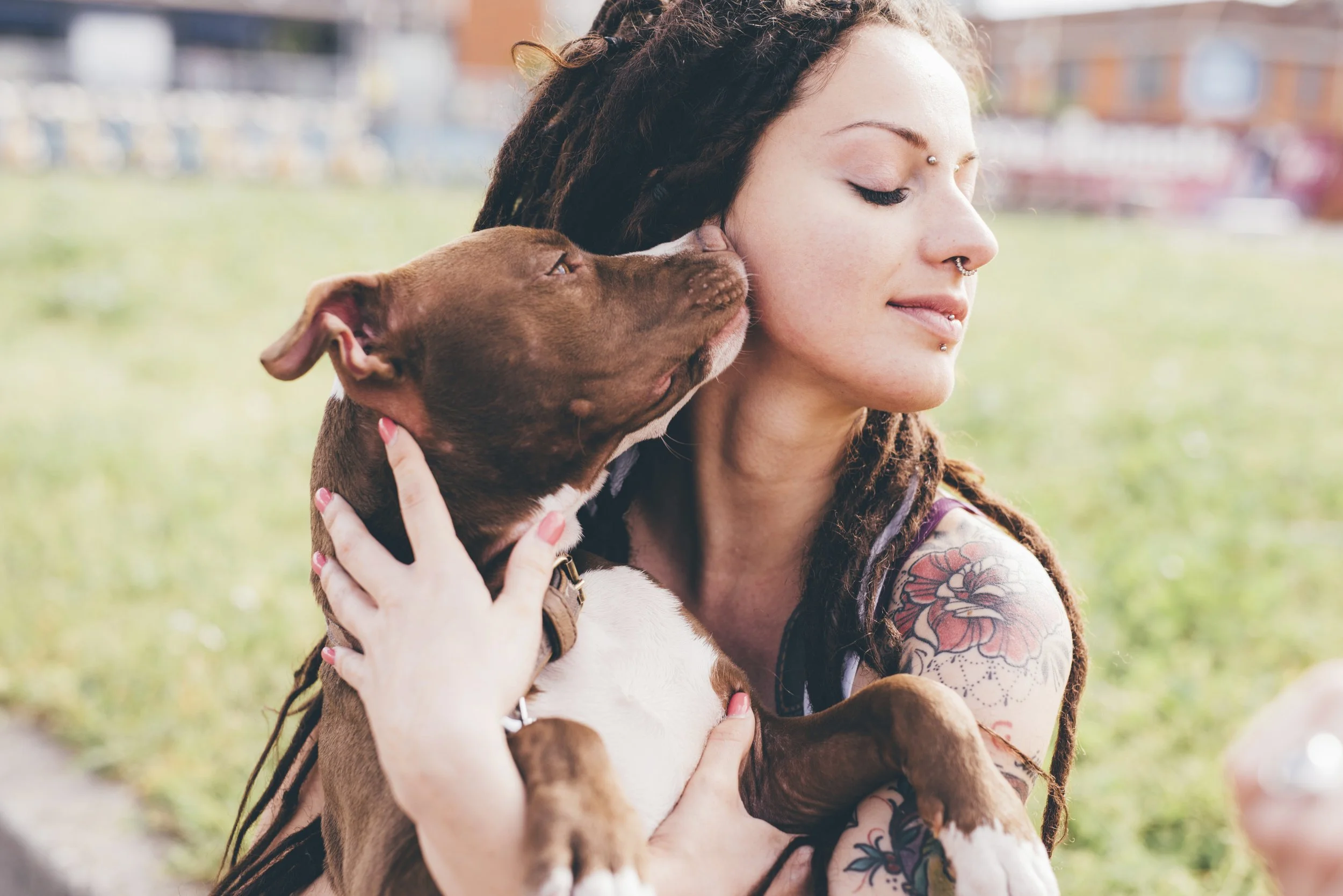 Finding a Home Shouldn’t Mean Giving Up Your Pet