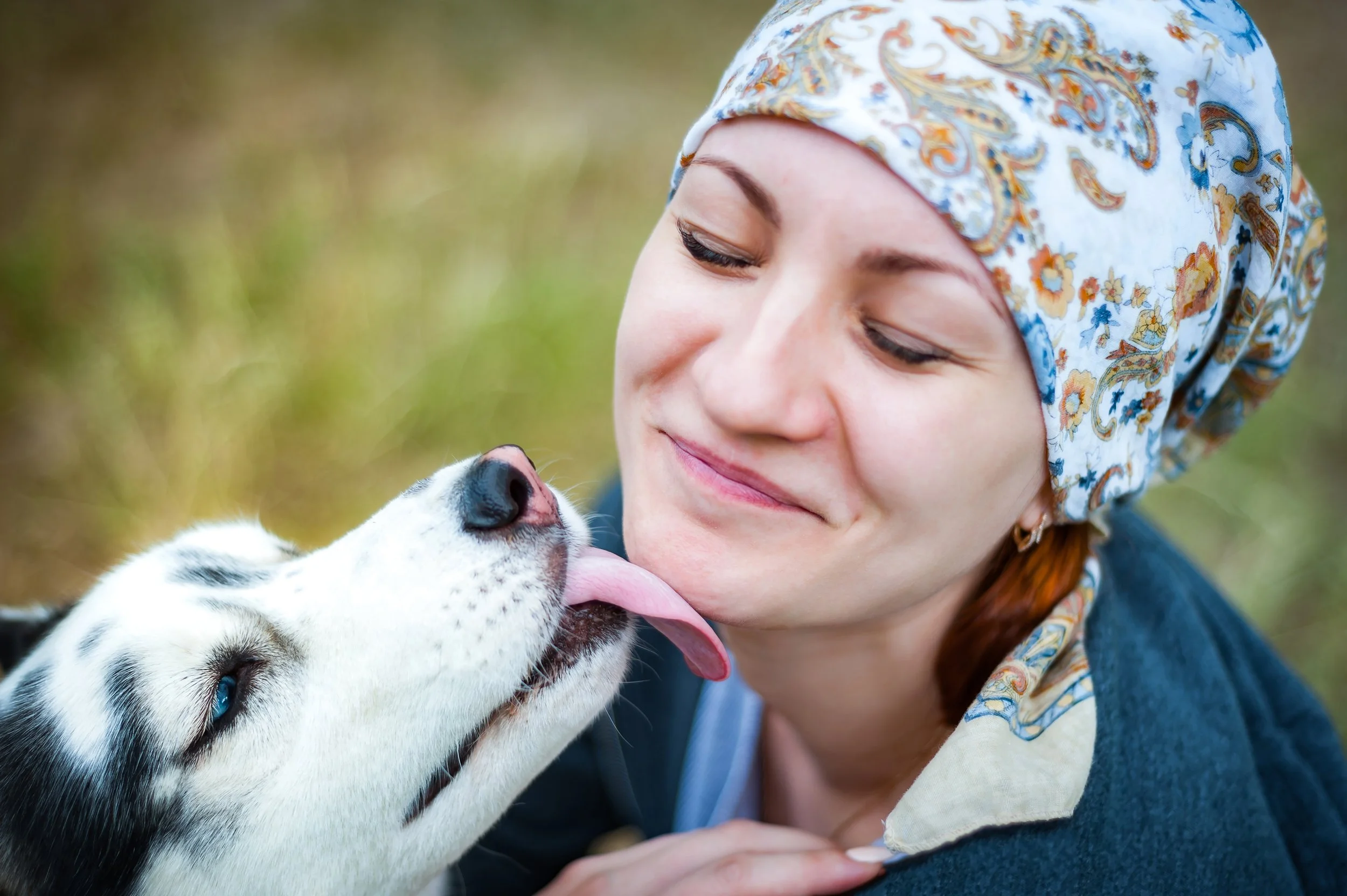Closing the Pet Care Gap When Owners Are Hospitalized