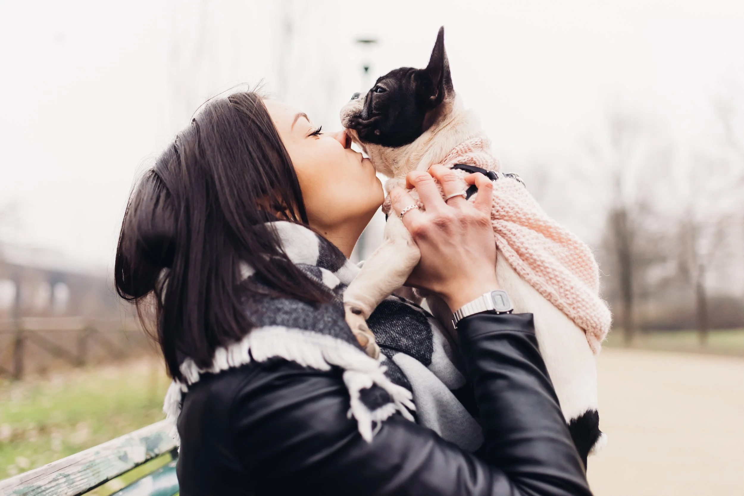 Dogs and cats carry antibiotic-resistant bacteria also found in people, study finds