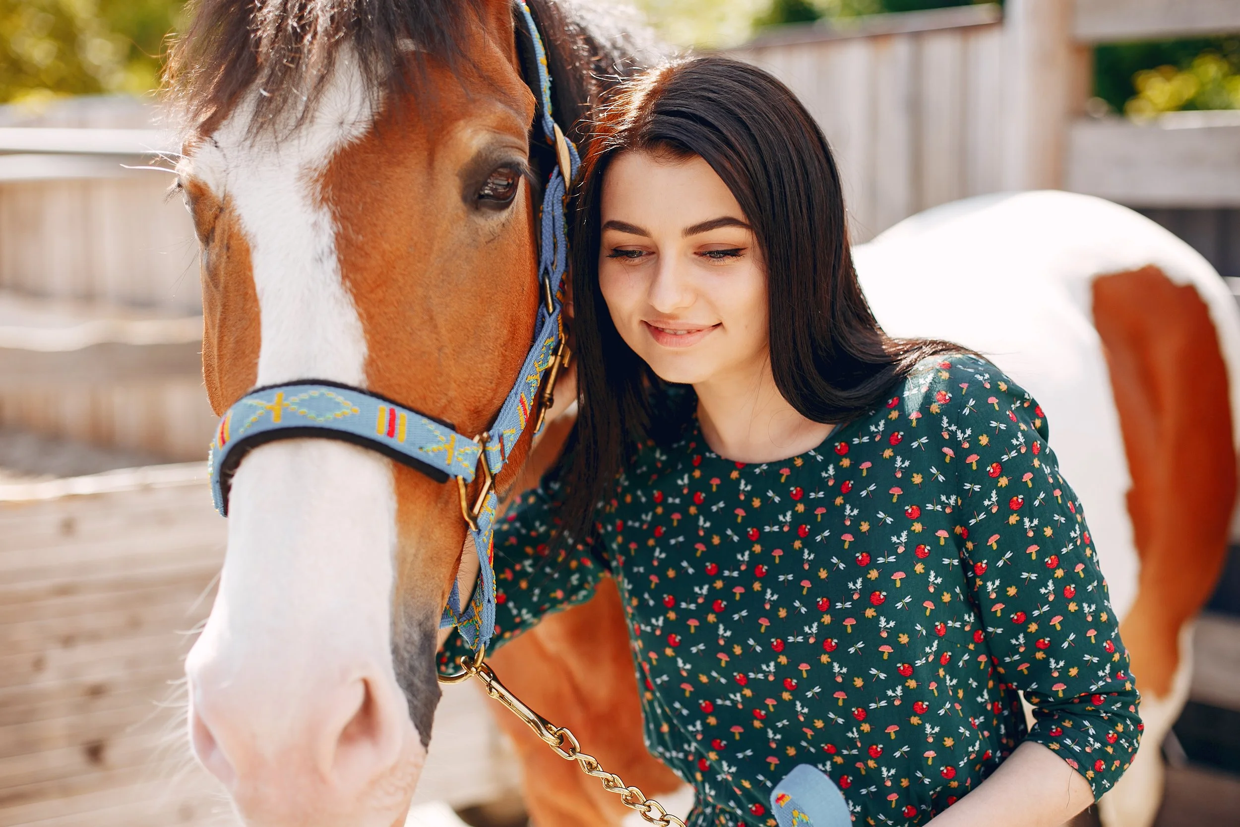 Veterinary Research Shows That Adolescents Who Read the Equines’ Body Language Were Less Sad and Lonely