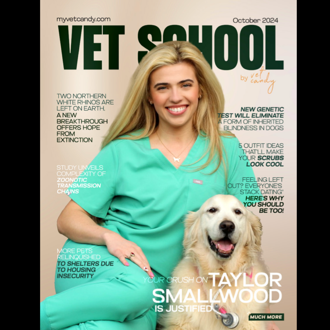Cover of Vet School magazine from October 2024 featuring a smiling woman in veterinary scrubs with a Golden Retriever wearing a prosthetic leg, surrounded by headlines about veterinary topics and pet care.