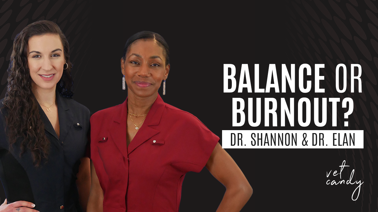 Veterinary burnout is crushing—here’s how to fight back.