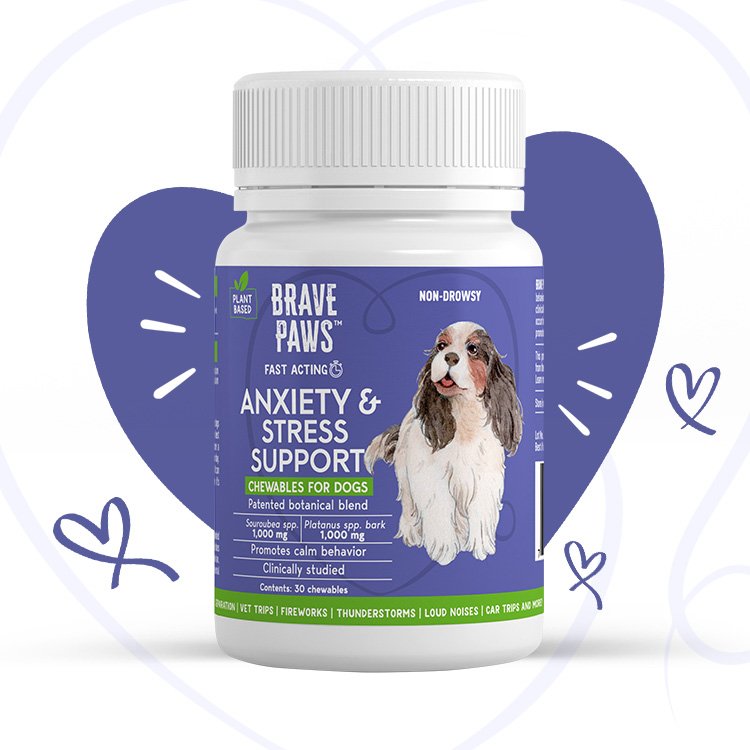 Get free samples of Brave Paws anxiety & stress support for dogs