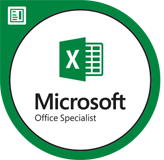 excel-badge-lg.png