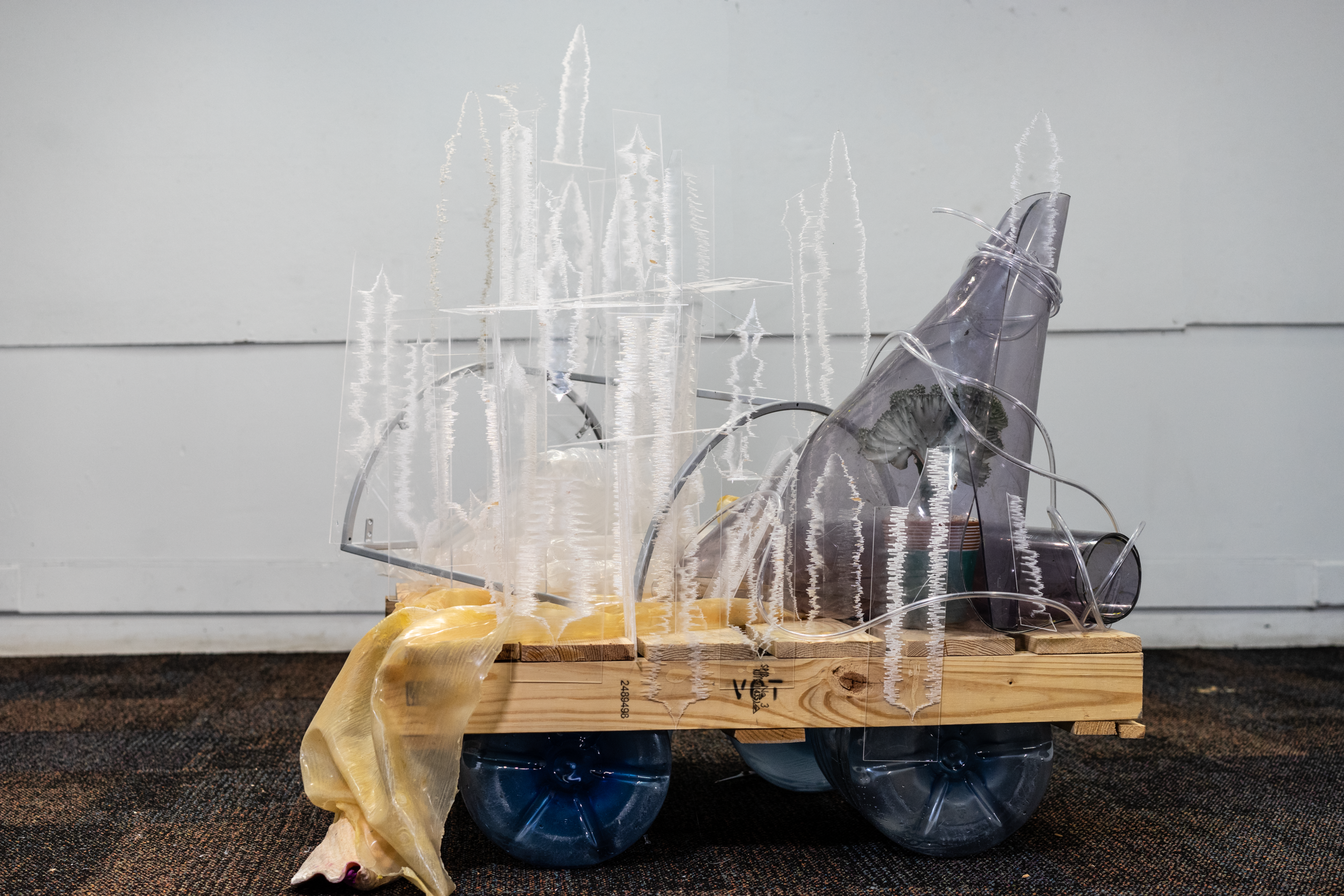 _DSC0557.png