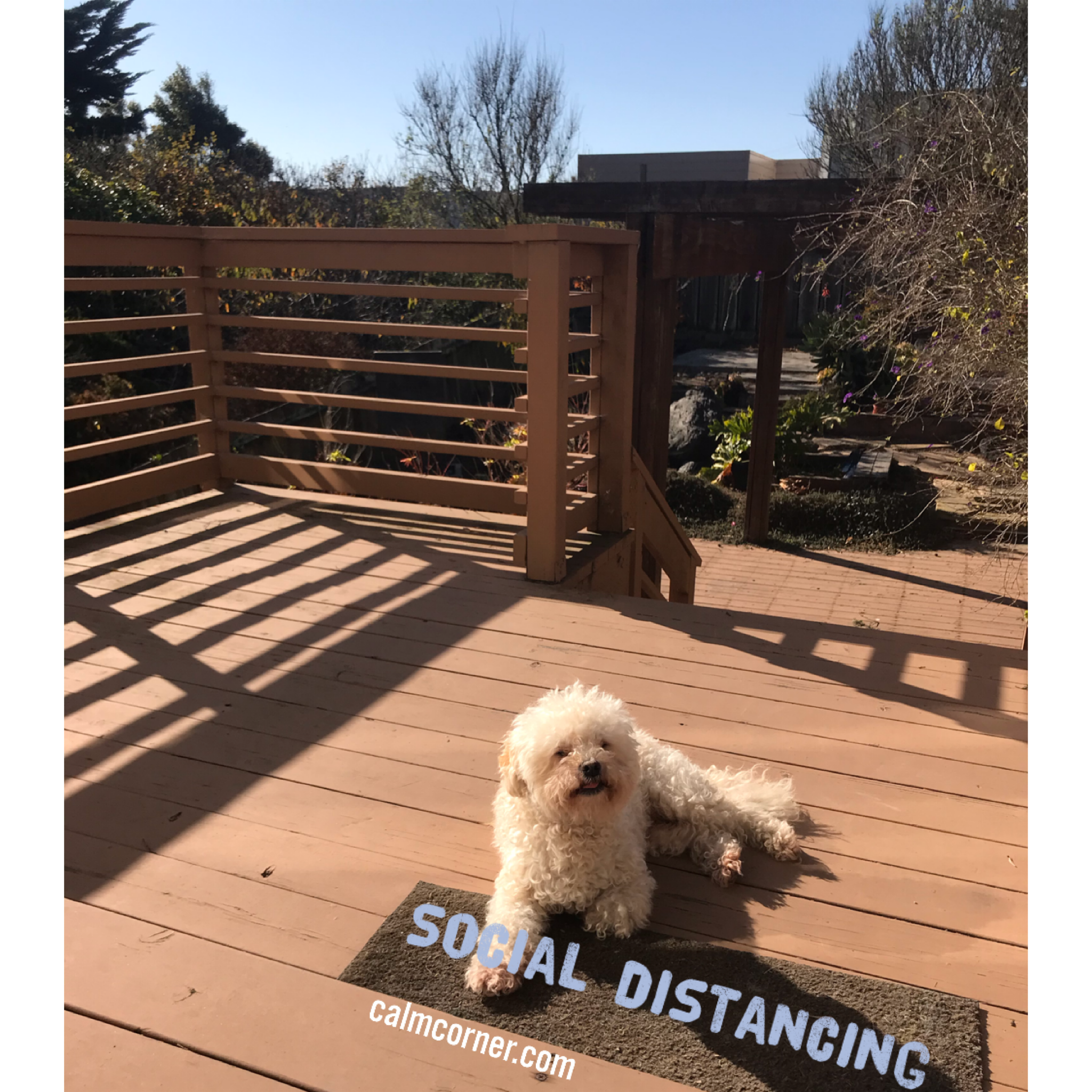 Self-care during coronavirus pandemic