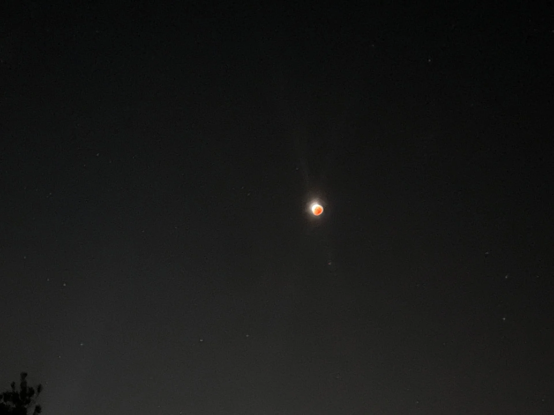 A few pictures from the blood moon, taken in Okinawa, Japan, minutes before 4:00am. I have my dog to thank who woke me up because he needed to potty. And since I was already up, why not take advantage of the golden hour to meditate, too. When was the