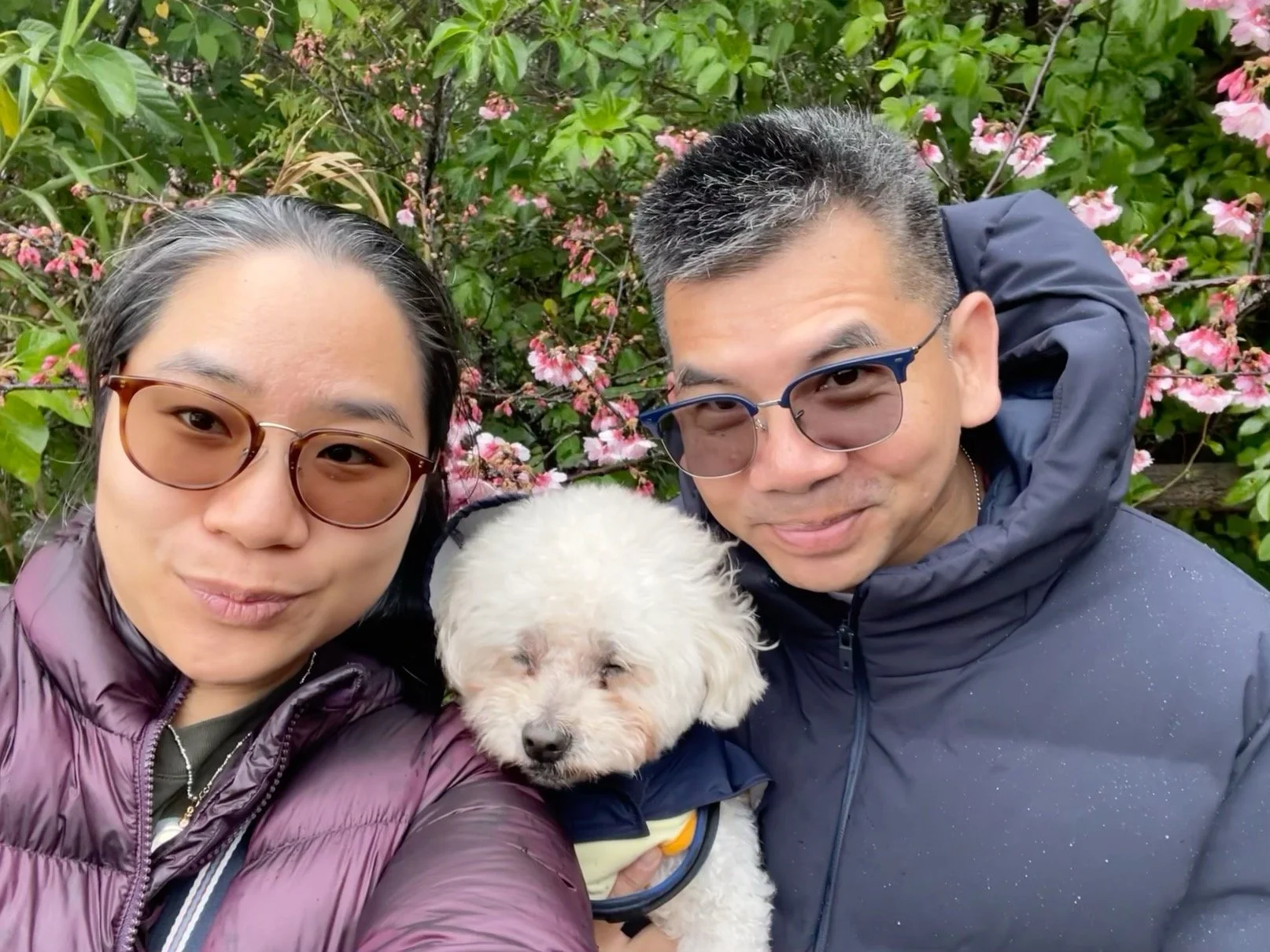 Happy Lunar New Year from Okinawa, Japan! Wishing family and friends great health, wealth, and prosperity. 🌸🐴🧧ซินเจียยู่อี่ ซินนี้ฮวดไช้ คิงเกี่ย เกี่ยงขัง เฮงๆ ทุกท่านคะ #lunarnewyear #okinawajapan #sakura #ventureinoki