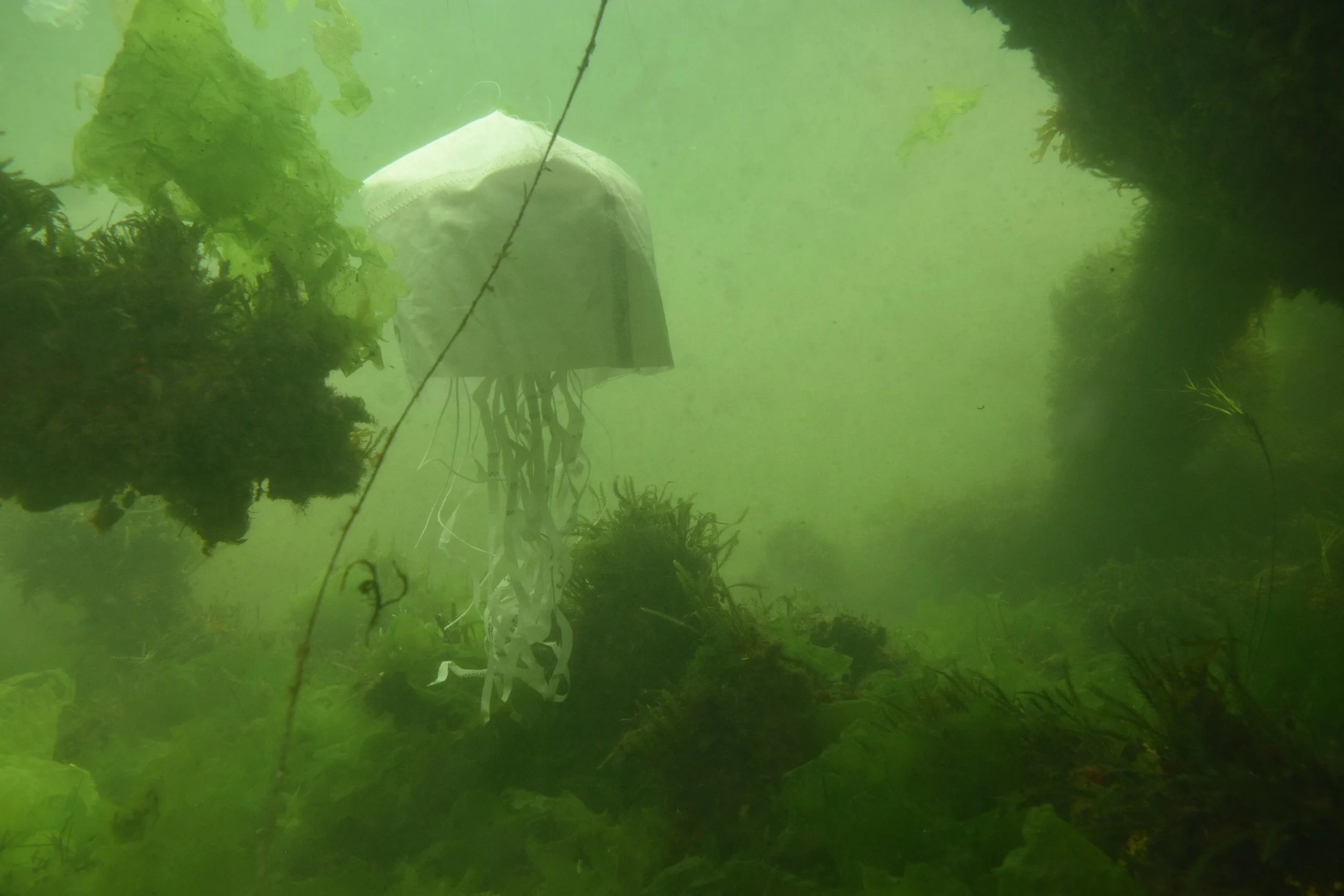 Fabulations. Photo: Michael Morgan