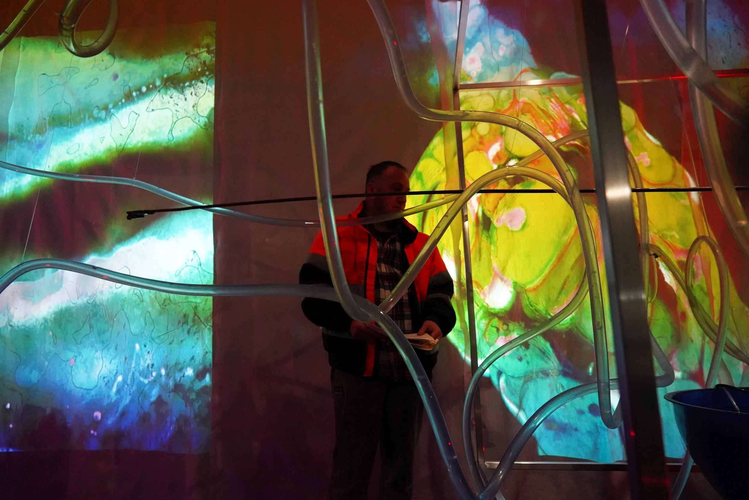 Thermohaline Circulation - Third Space Gallery + Digital, 2026.