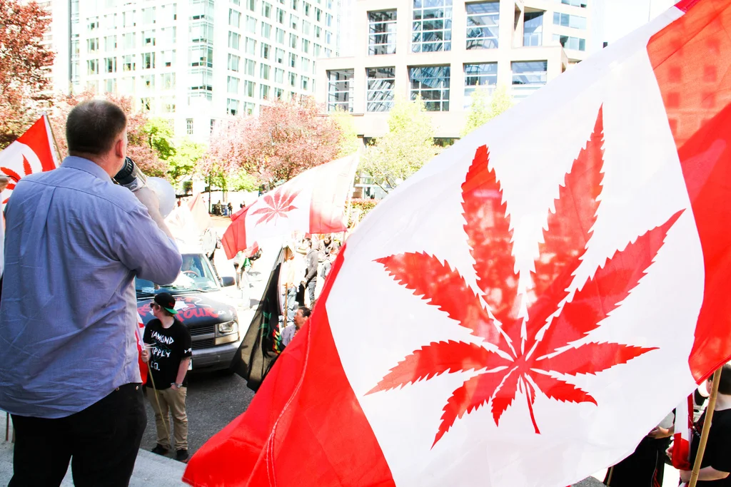Image courtesy of Cannabis Culture on Flickr .