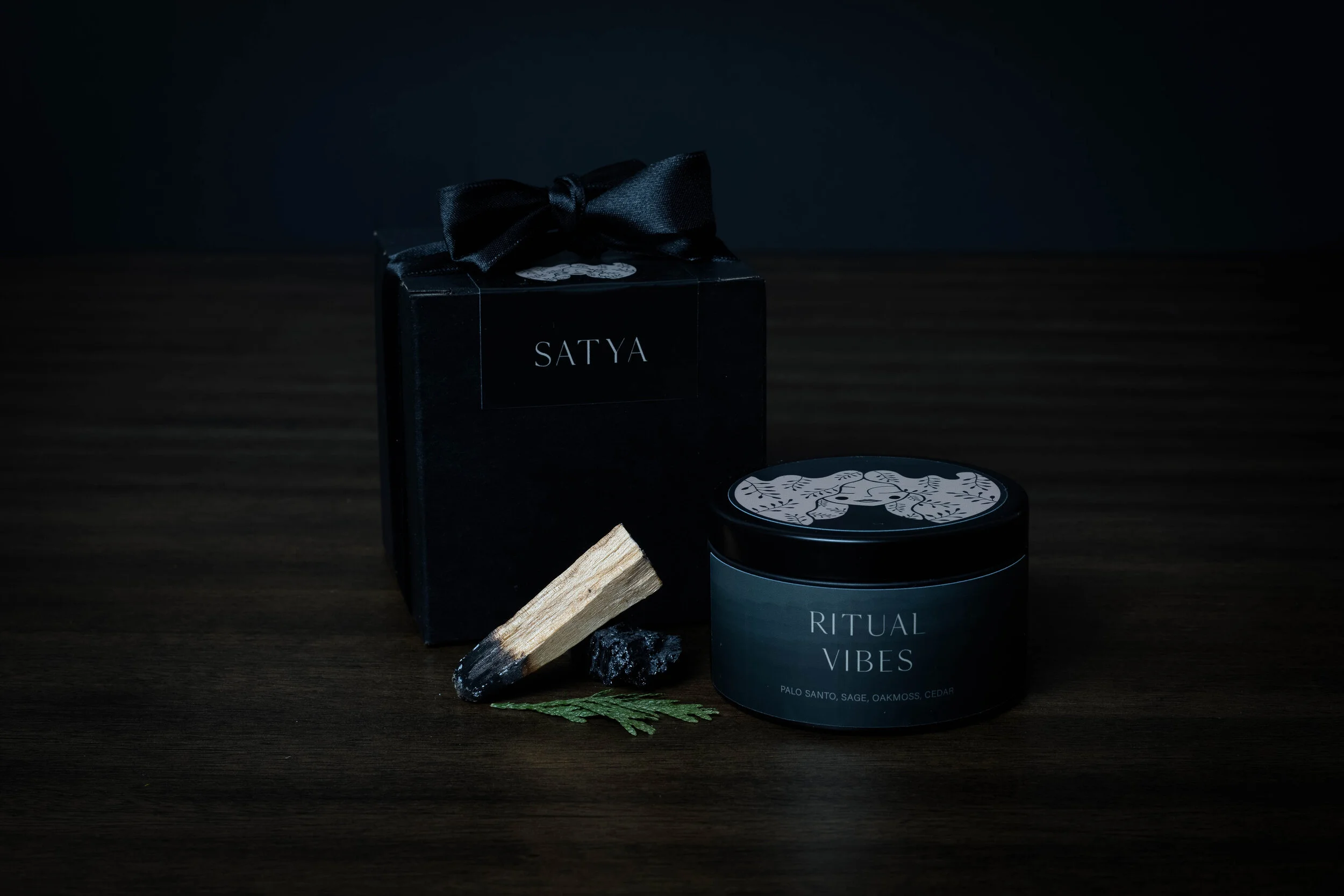 Satya shoot 2-2521-Edit.jpg