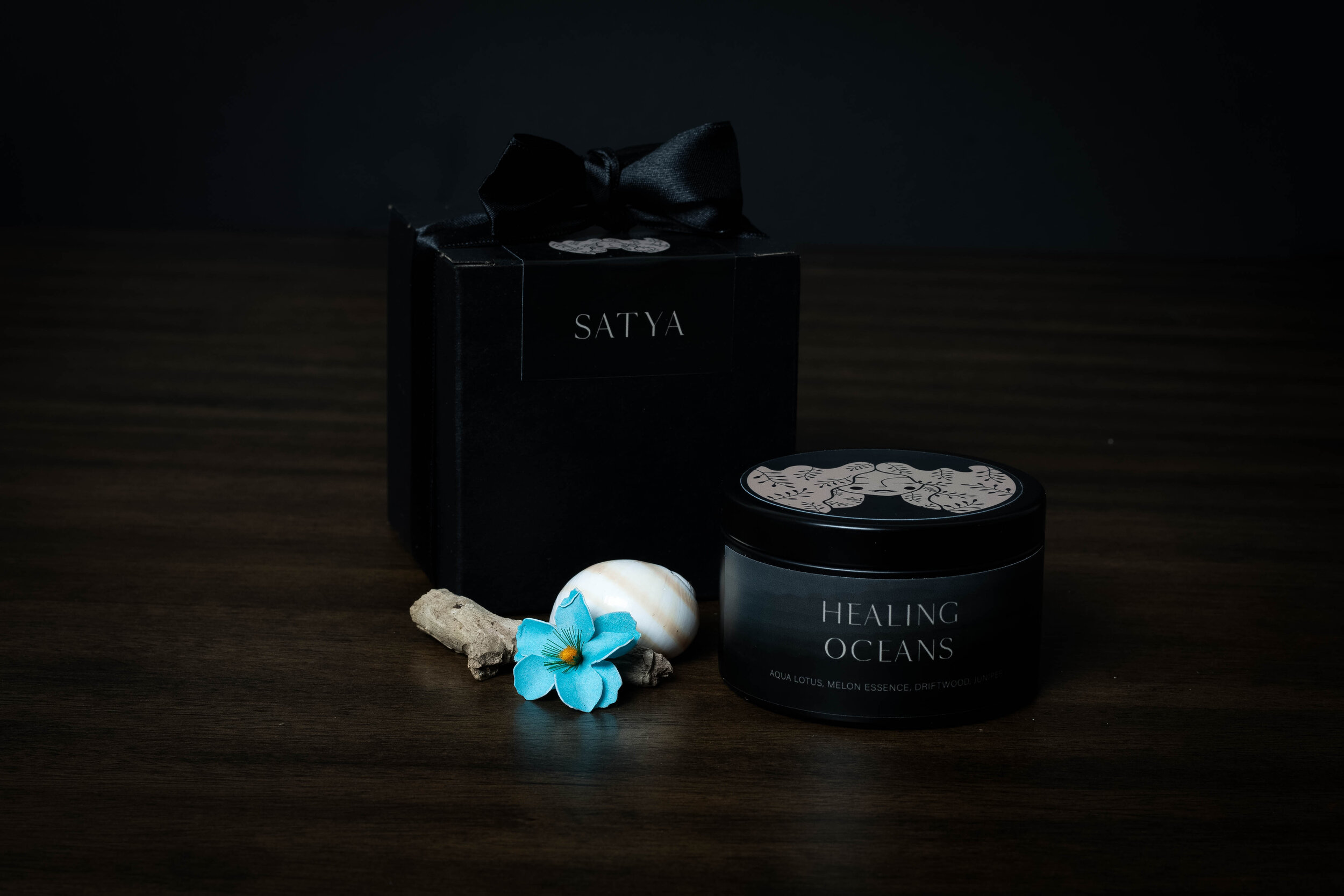 Satya shoot 2-2384-Edit.jpg