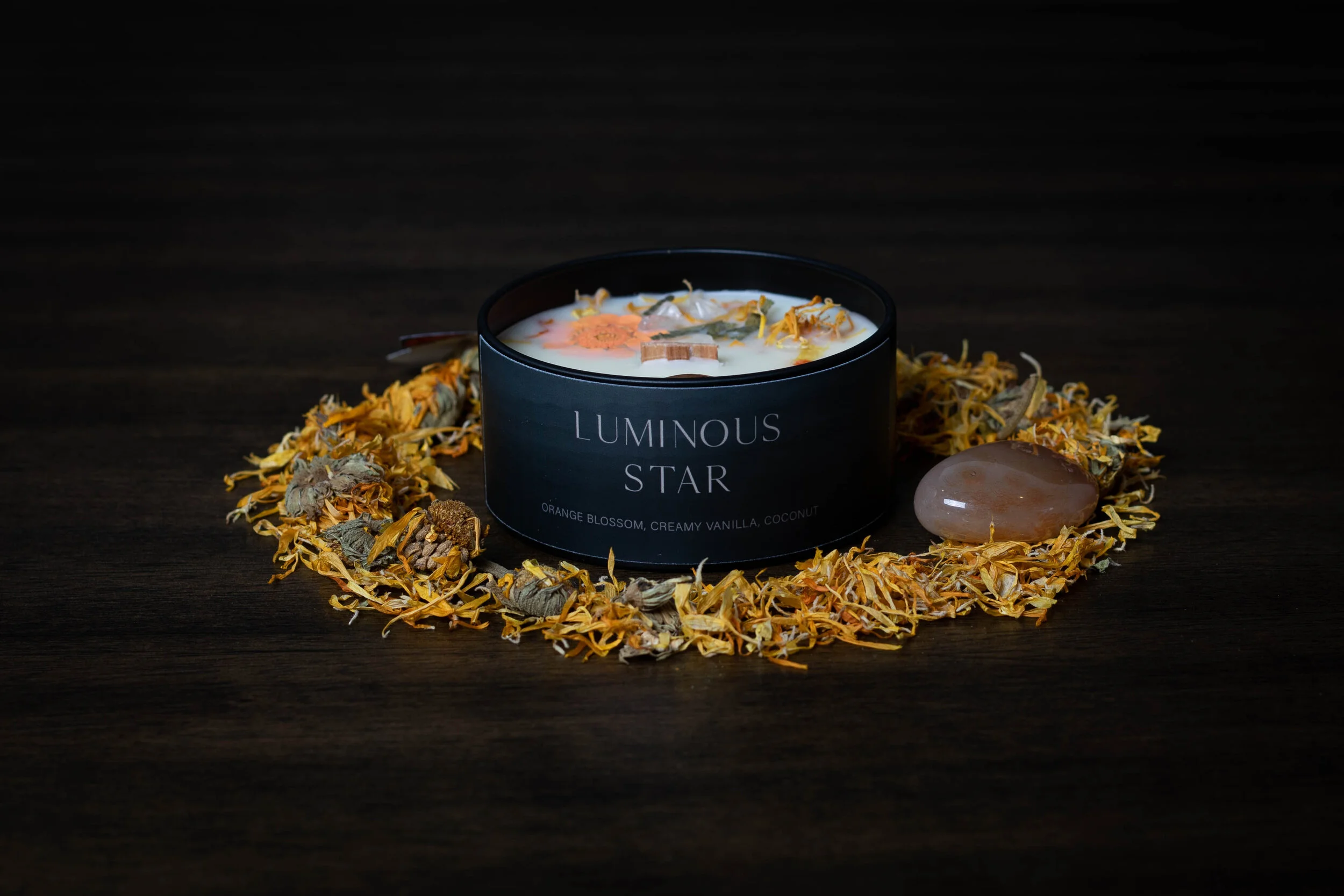 Satya shoot 2-2433-2.jpg