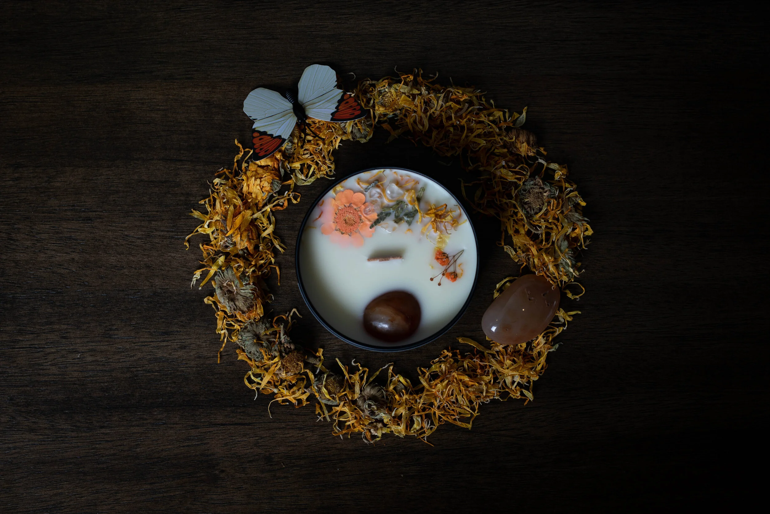 Satya shoot 2-2436.jpg