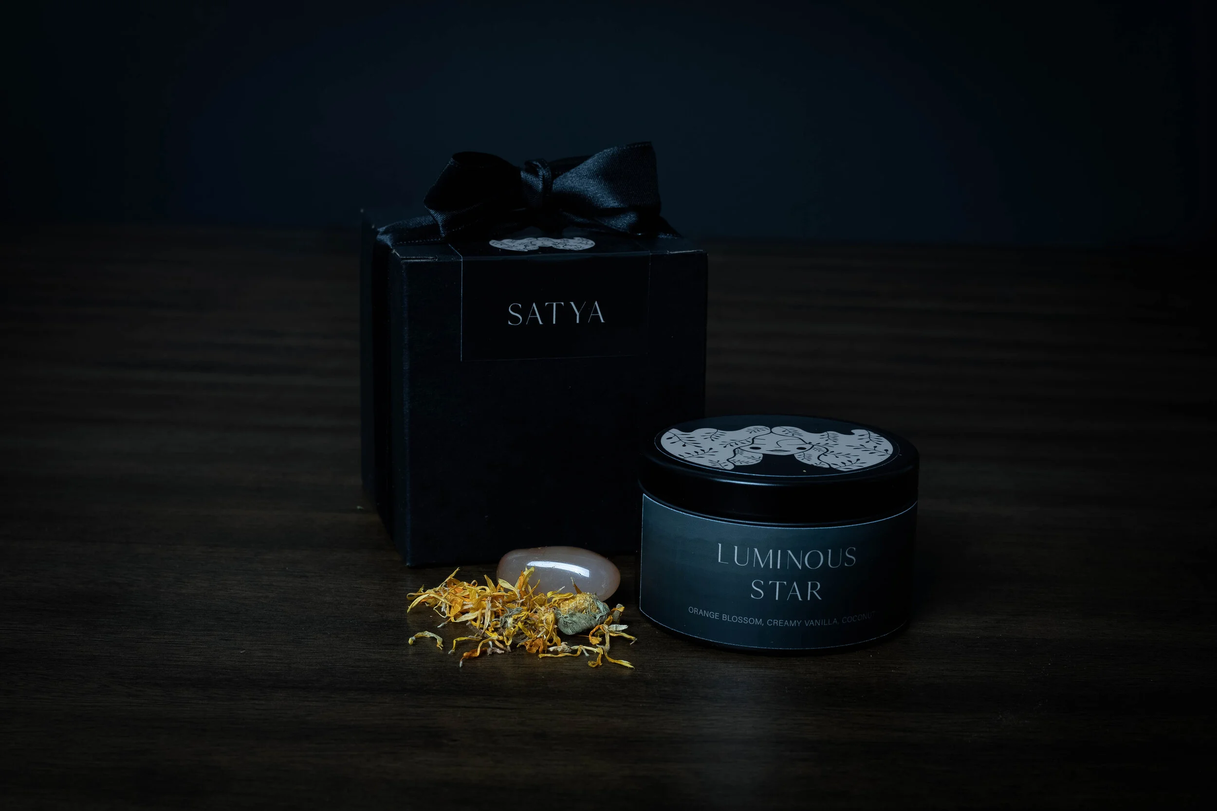 Satya shoot 2-2455-Edit.jpg