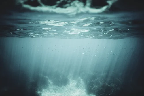 unsplash-image-bCVXqpqDat4.jpg